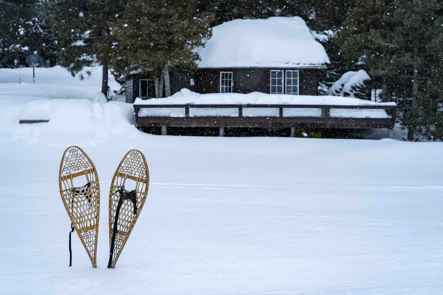 Vintage wooden snowshoes stand upright in deep white snow with snow-covered buildings visible in the background.