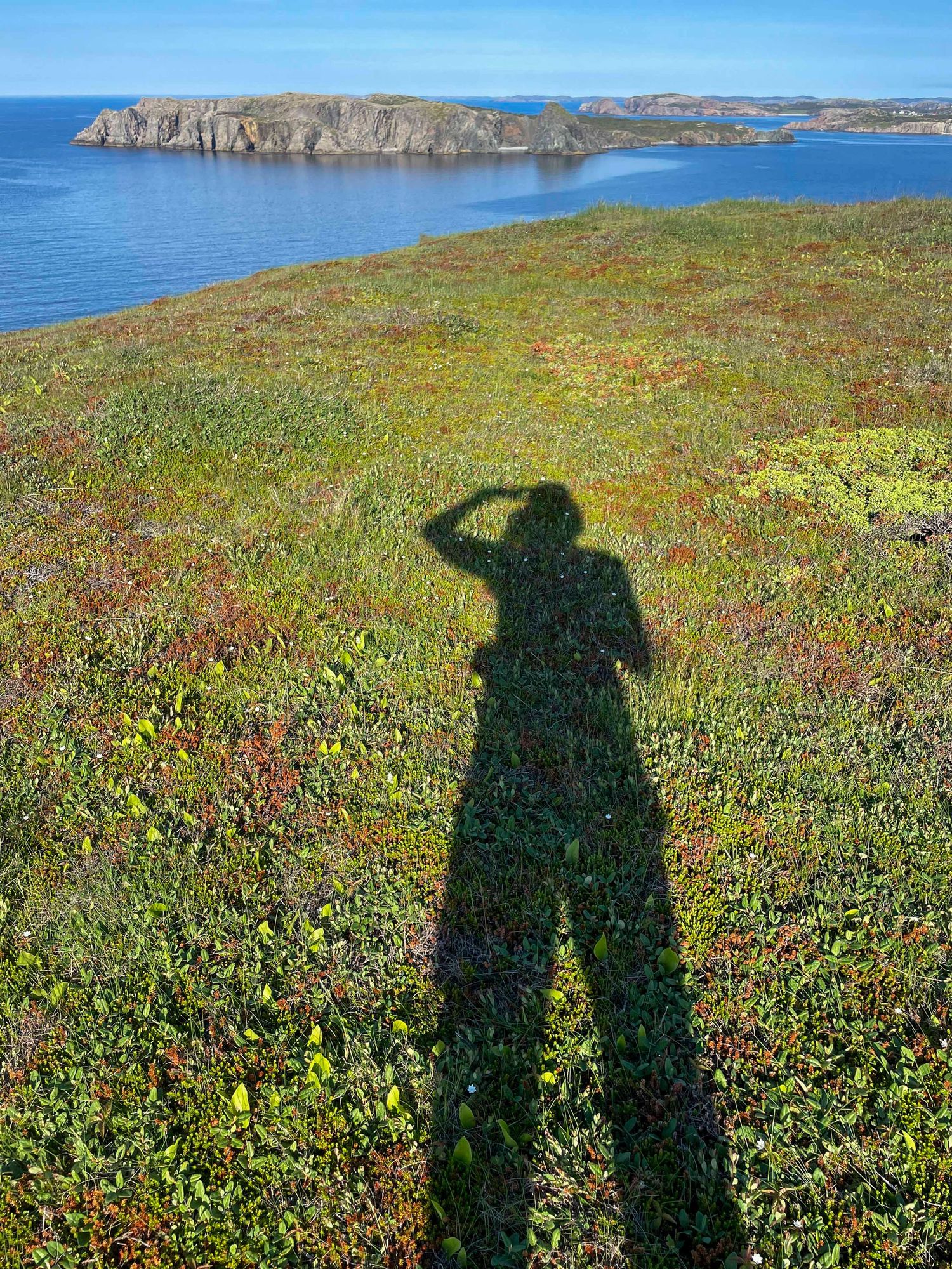 Long shadow cast on coastal meadow filled with wildflowers overlooking rocky cliffs and ocean views in California.