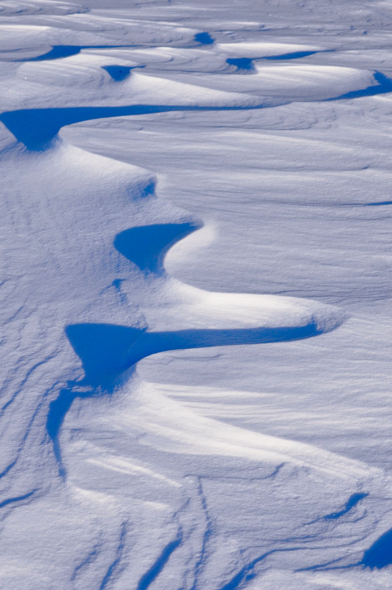 Abstract patterns of snow drifts creating blue shadows against white snow.