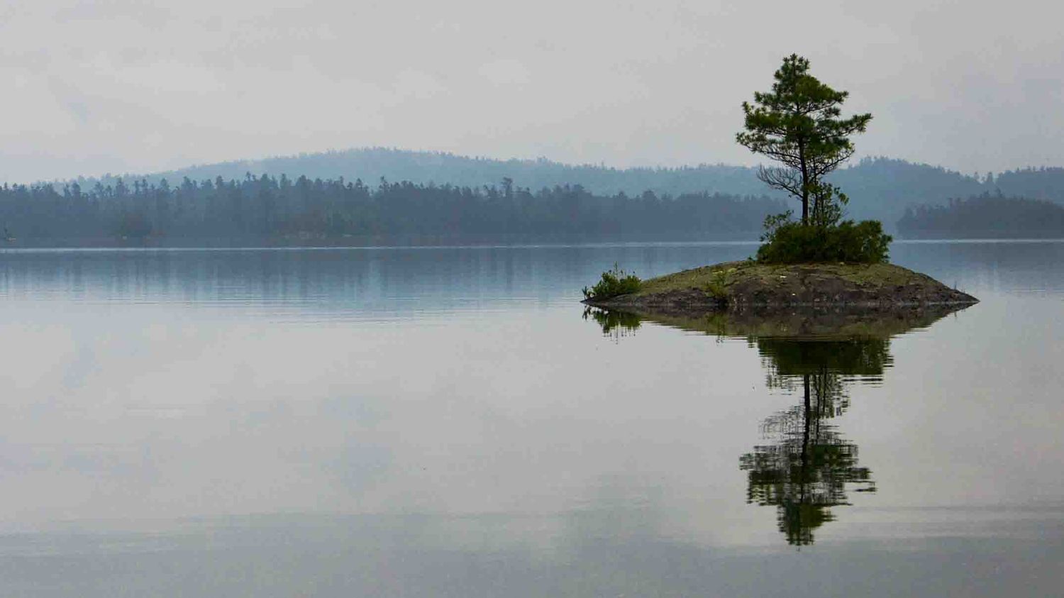 Minimalist landscape of a lone pine tree reflected in still lake waters.