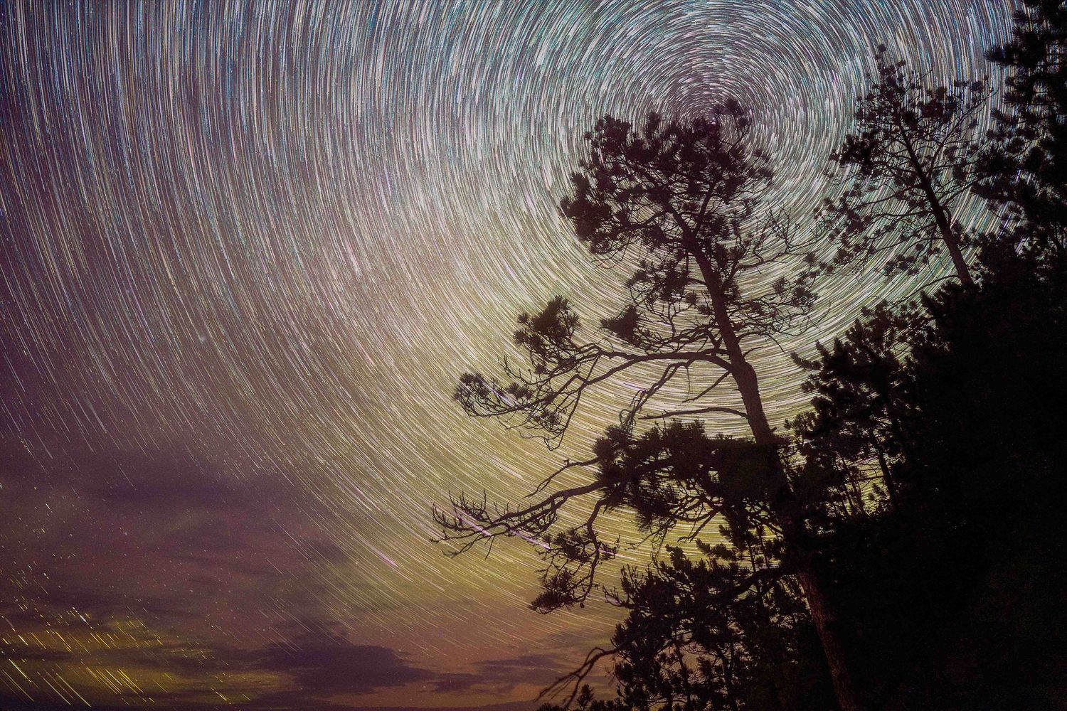 Stunning star trails swirl in the night sky above silhouetted trees in a long exposure photograph.