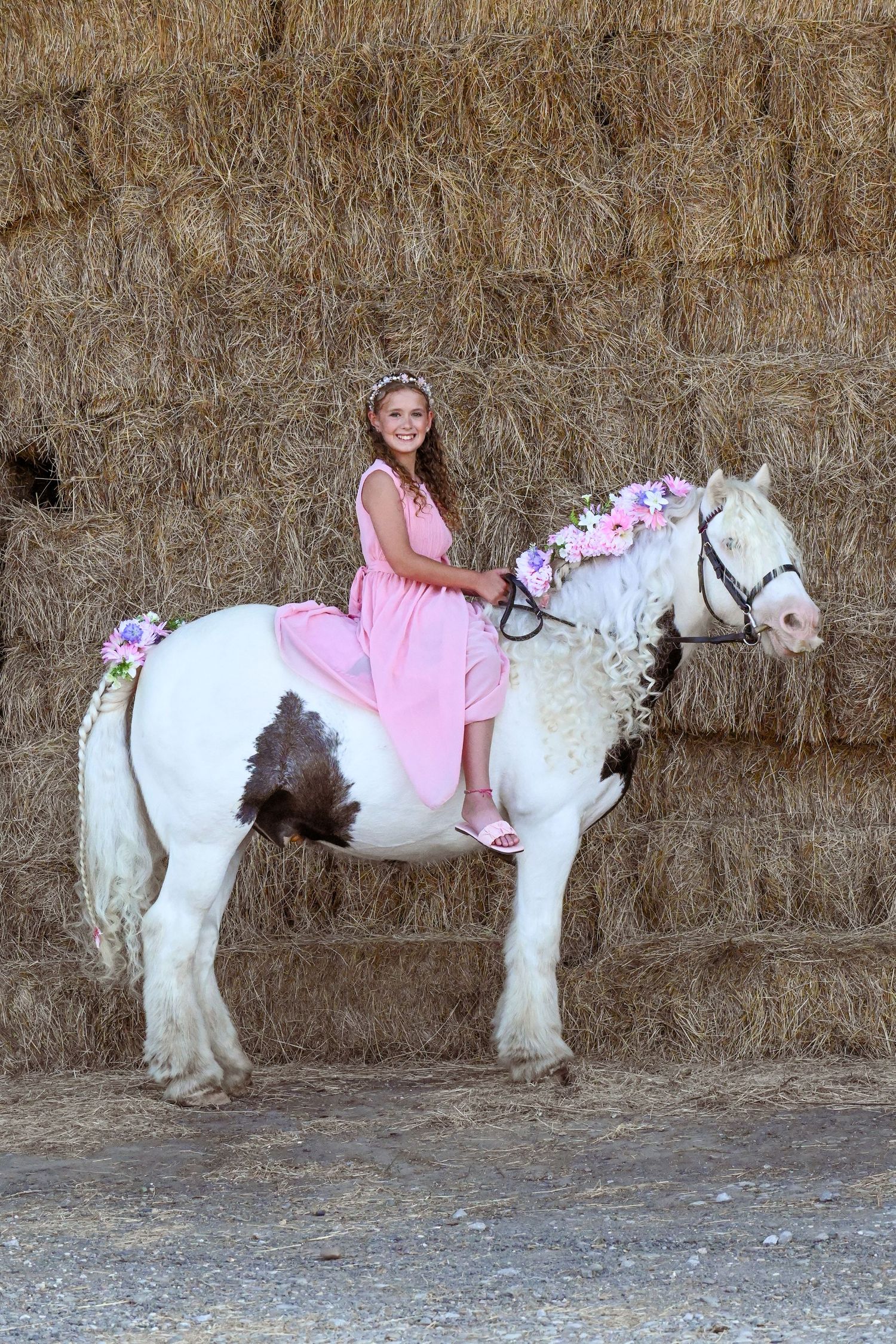 horse and rider