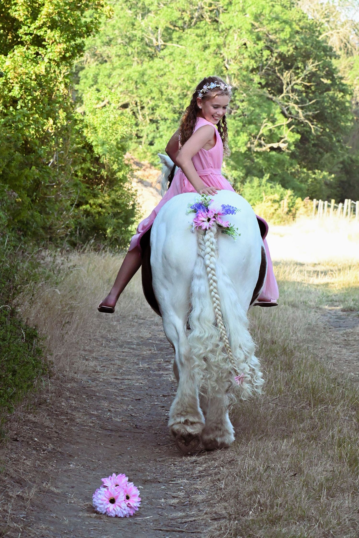 horse and rider