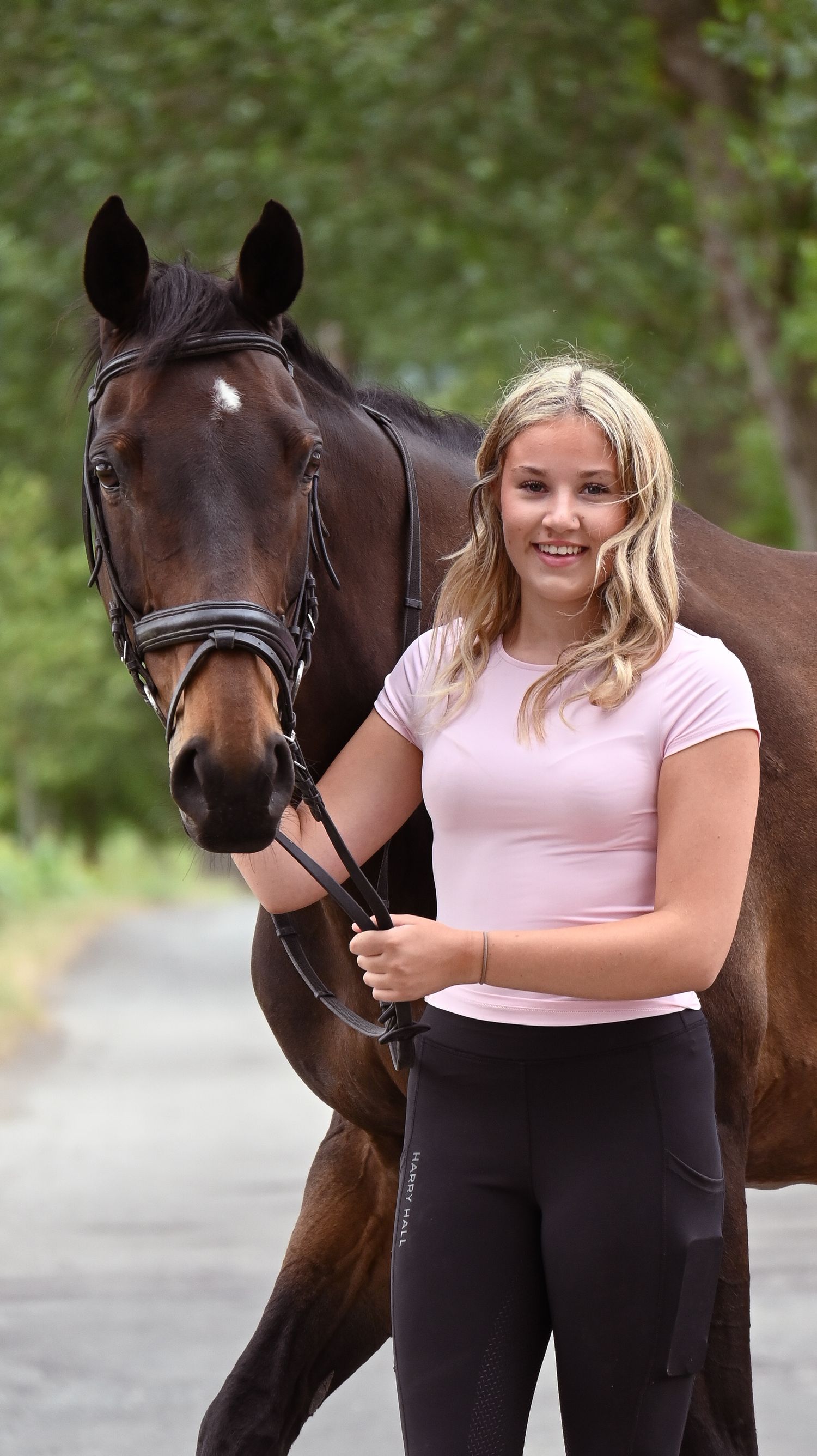 horse and rider