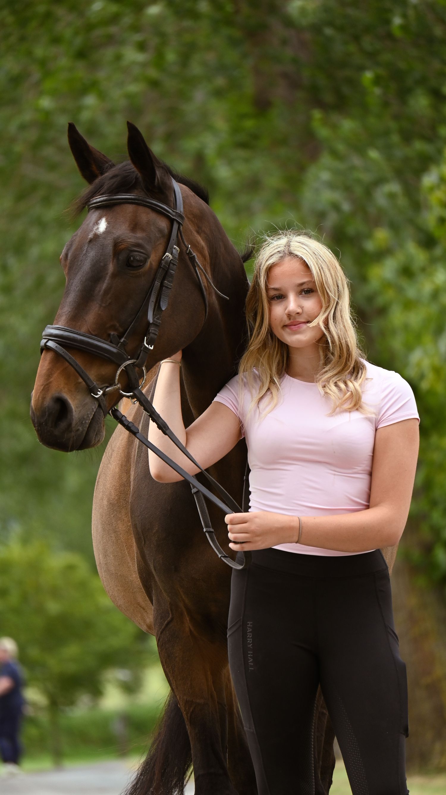 horse and rider