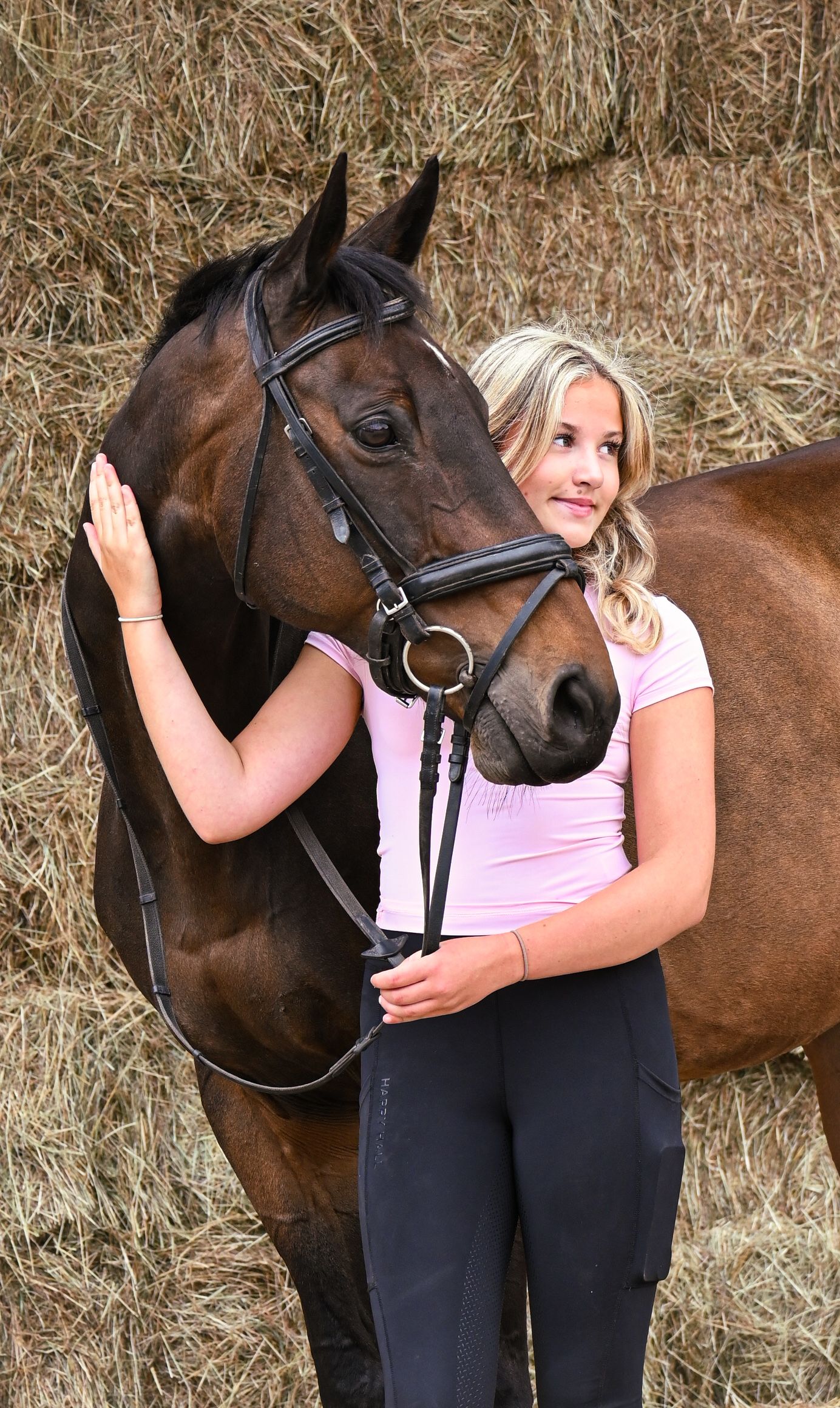horse and rider