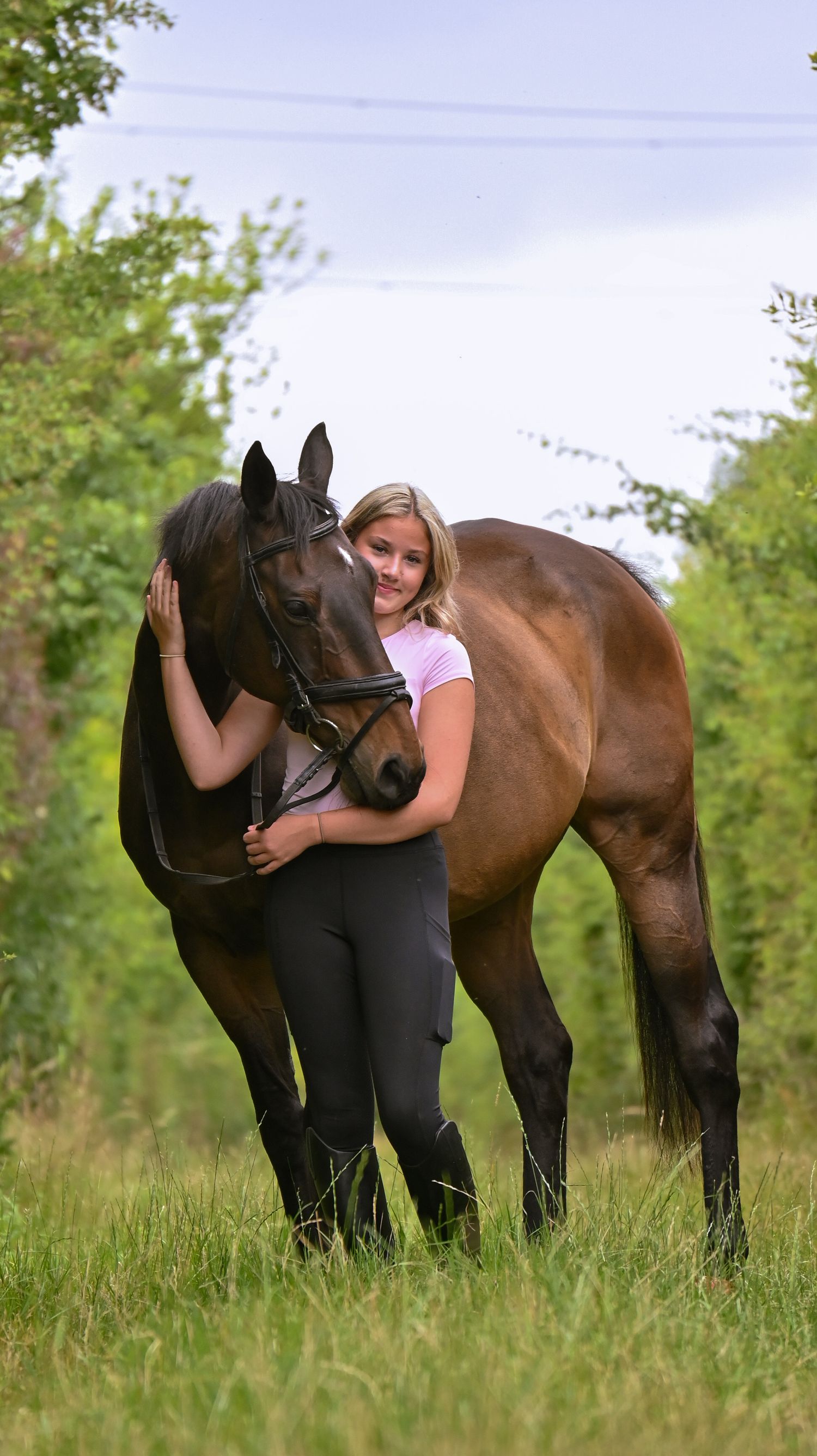 horse and rider