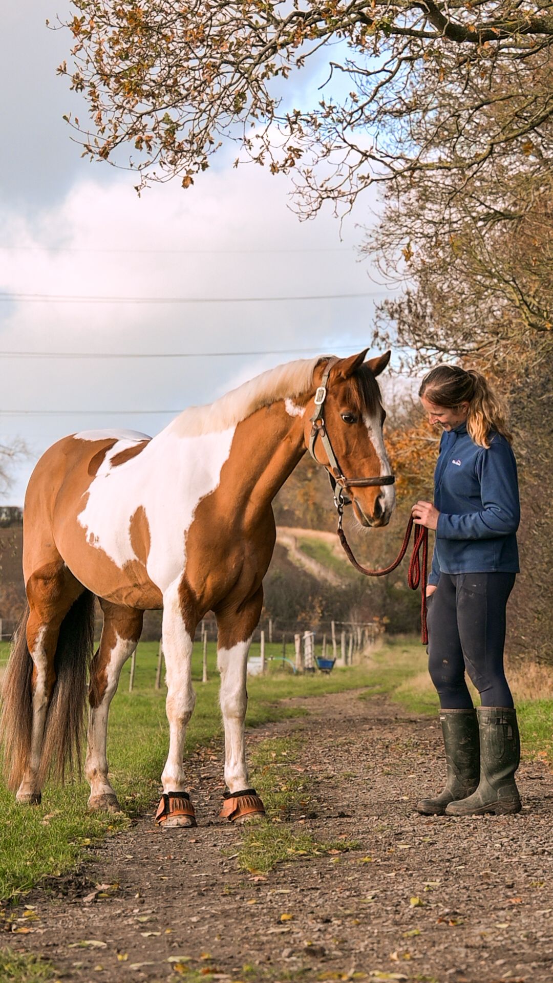 horse and rider