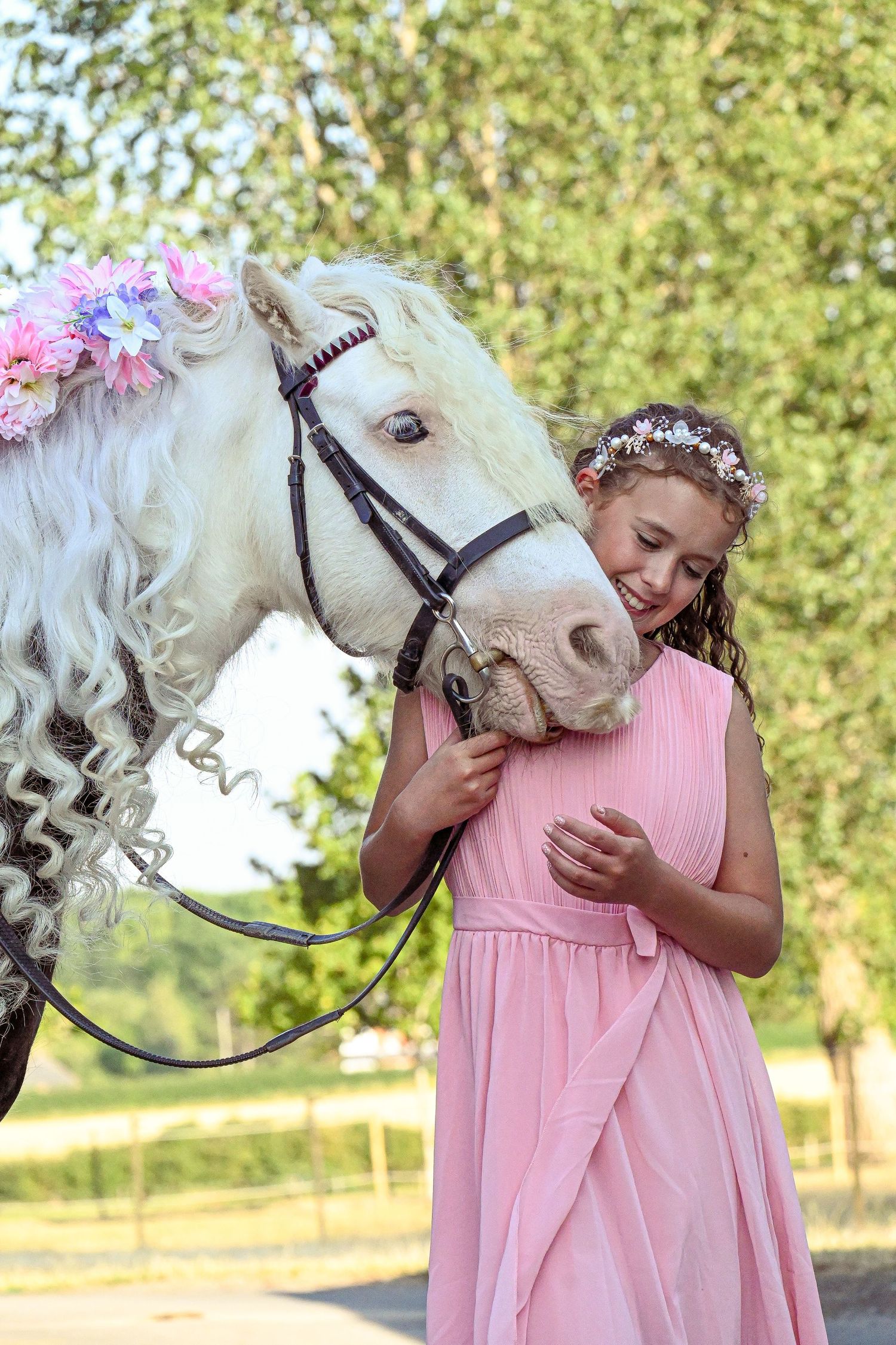 horse and rider
