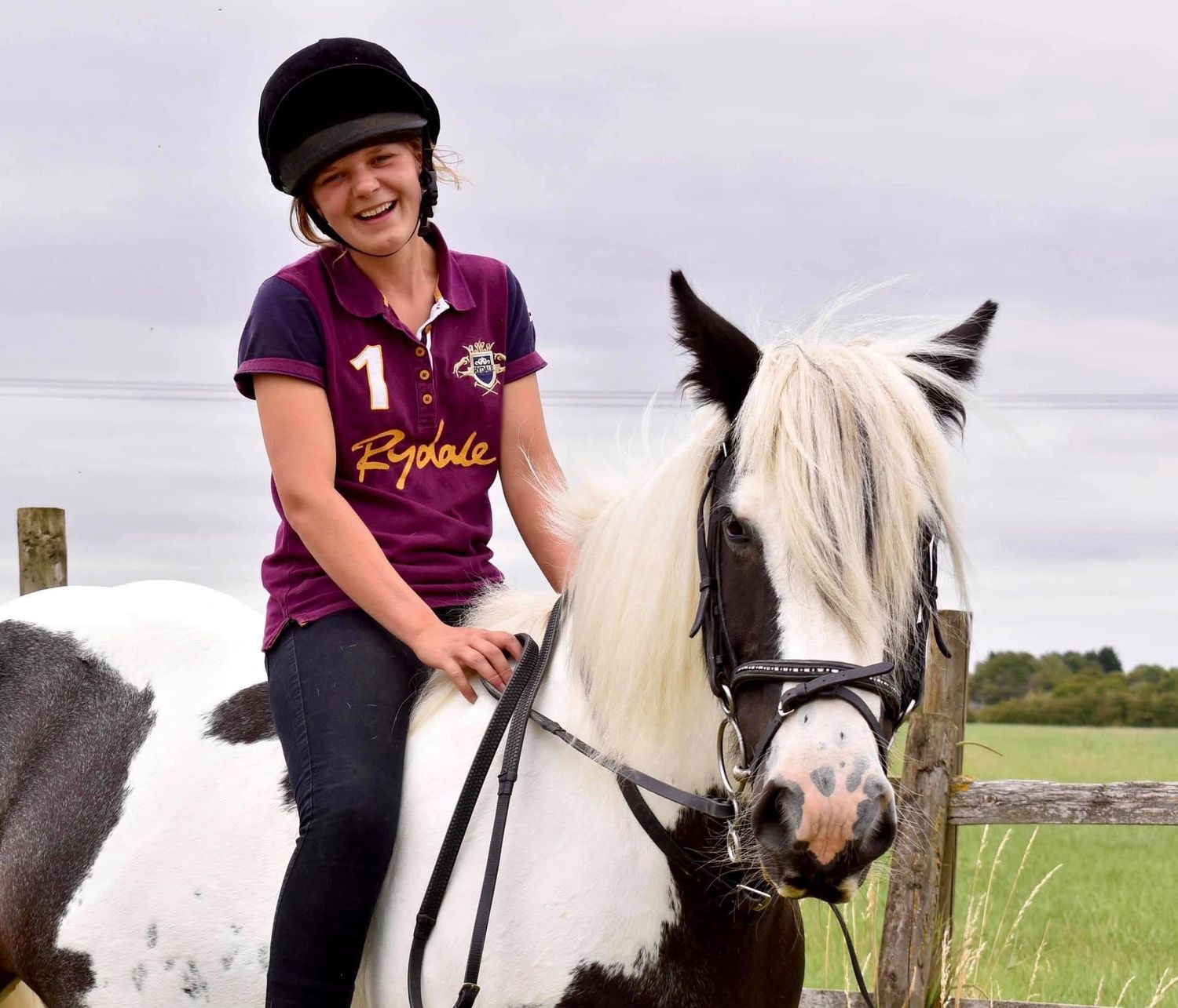 horse and rider