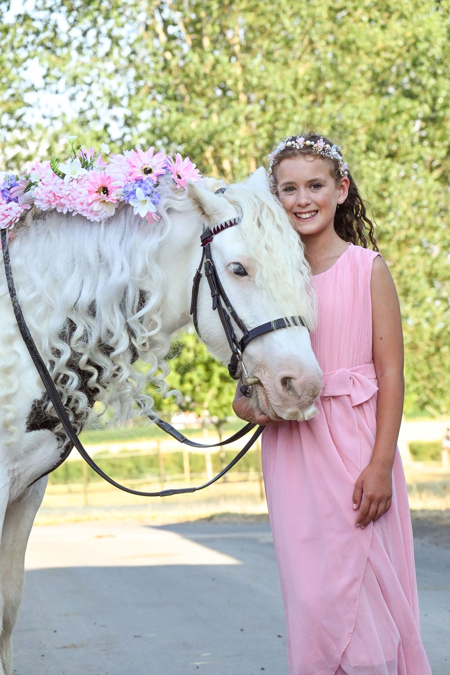 horse and rider