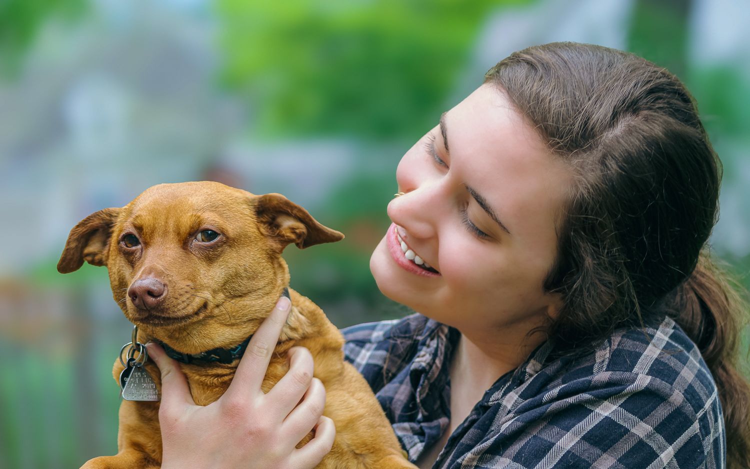 Pet photos with dogs.