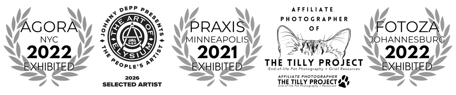 Five photography award badges including Agora NYC 2022, RFPA 2022, Praxis Minneapolis 2021, Tilly Project, and Fotoza 2022.