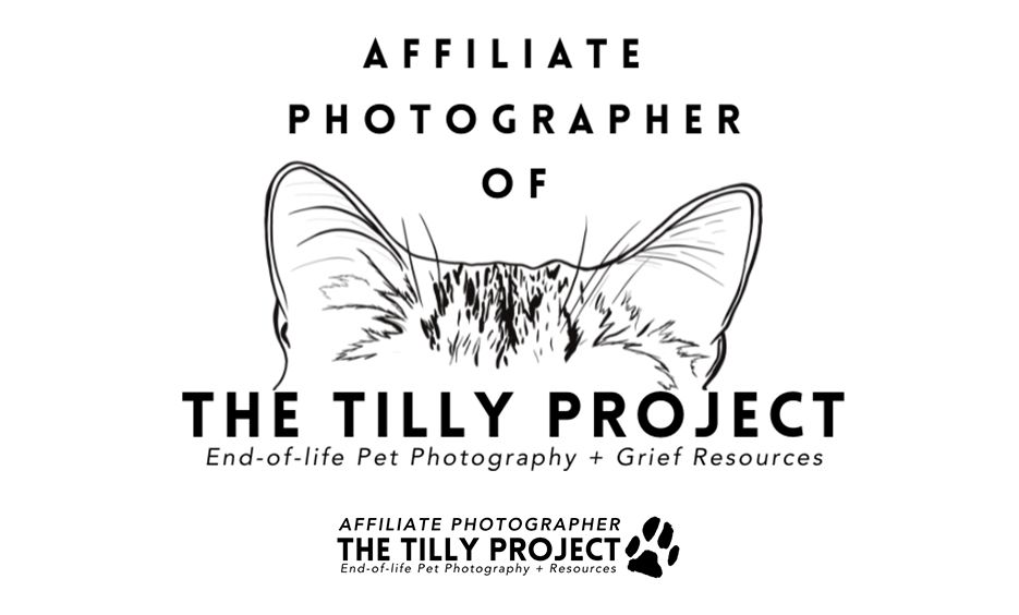 Badge for The Tilly Project affiliate photographer specializing in end-of-life pet photography and grief resources.