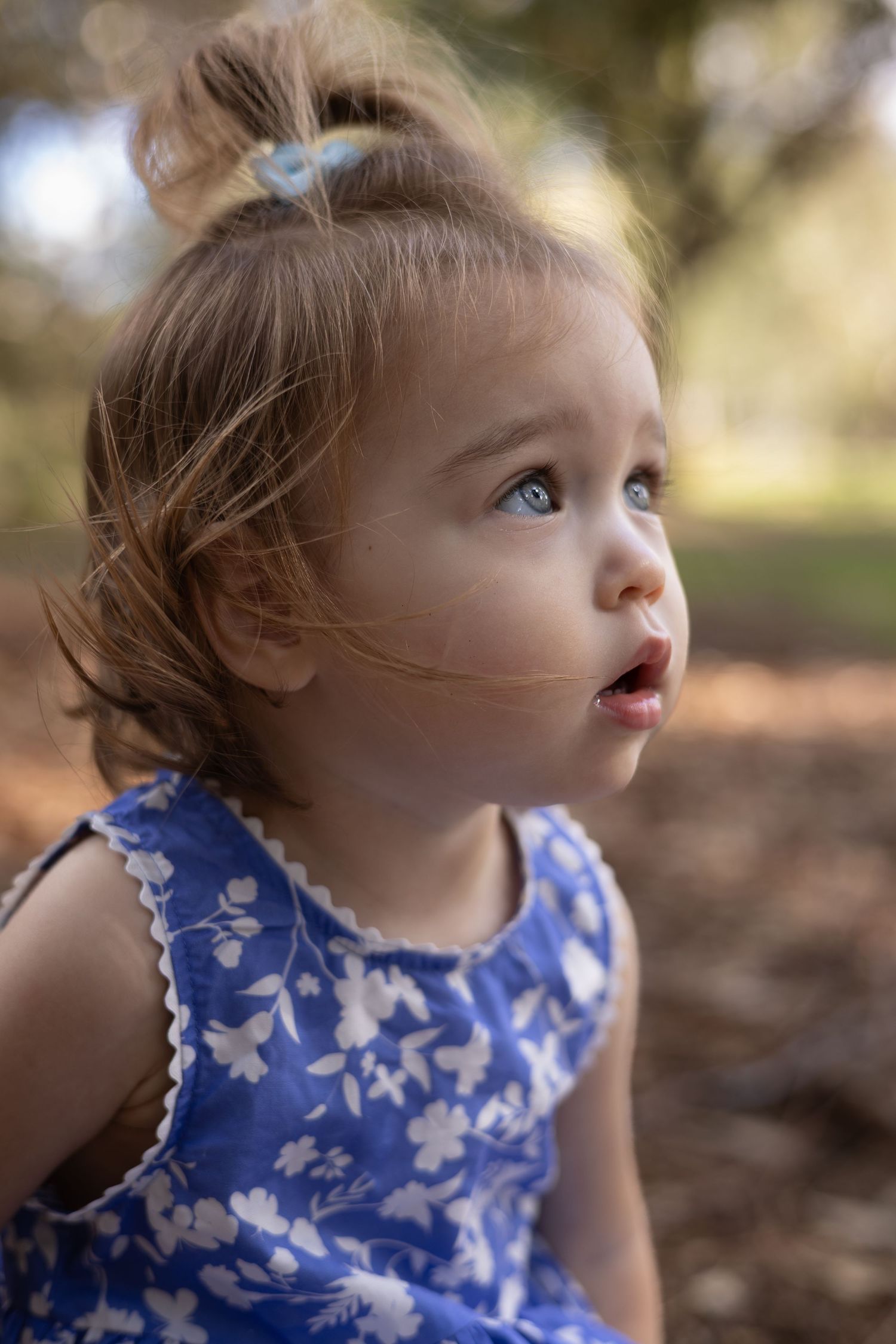 Toddler girl in blue floral dress gazing upward outdoors, with hair in a bun and a curious expression.