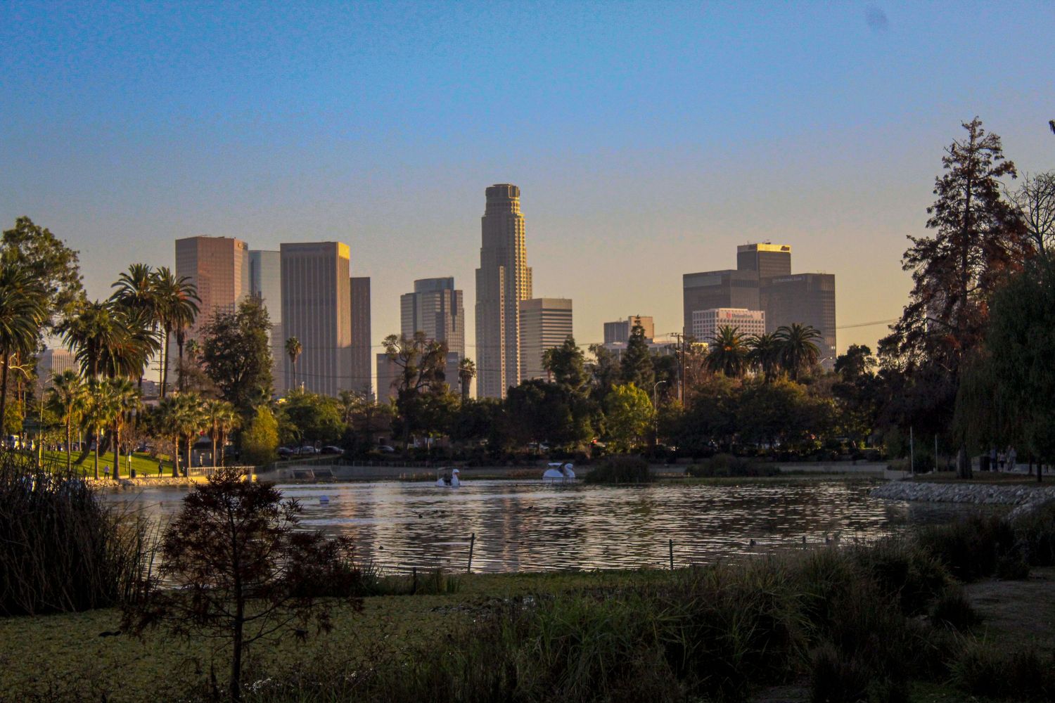 Los Angeles skyline view from Echo Park Lake during golden hour.