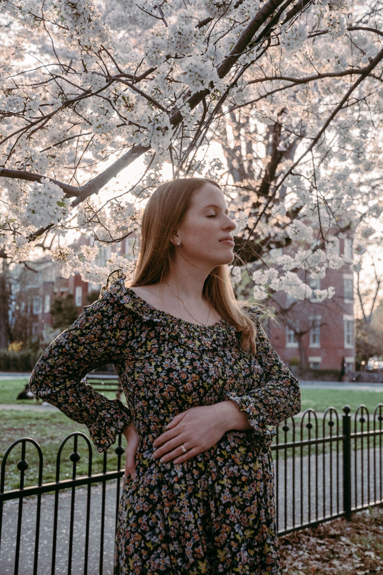 A floral dress maternity photo under blooming cherry blossoms with an iron fence in the background.