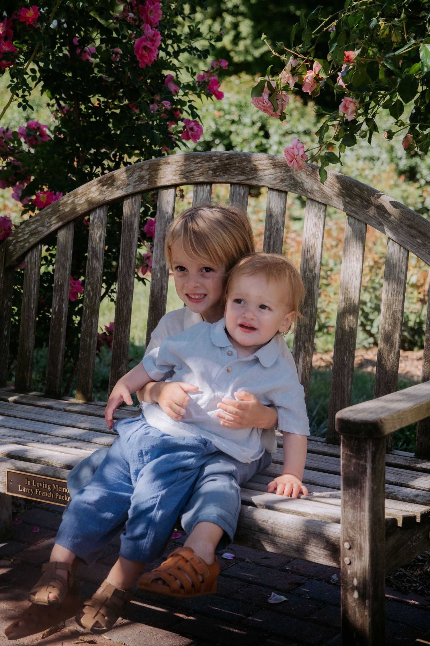 Two young brothers sit closely together on a rustic wooden garden bench surrounded by blooming pink roses.