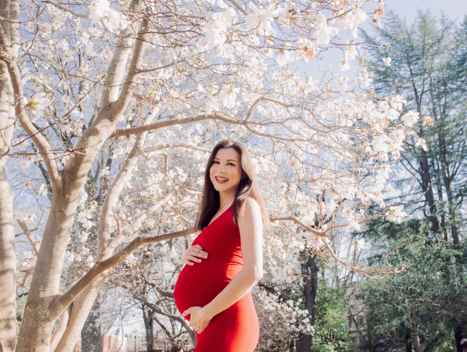 Cherry blossom maternity session featuring a red dress in a park setting.