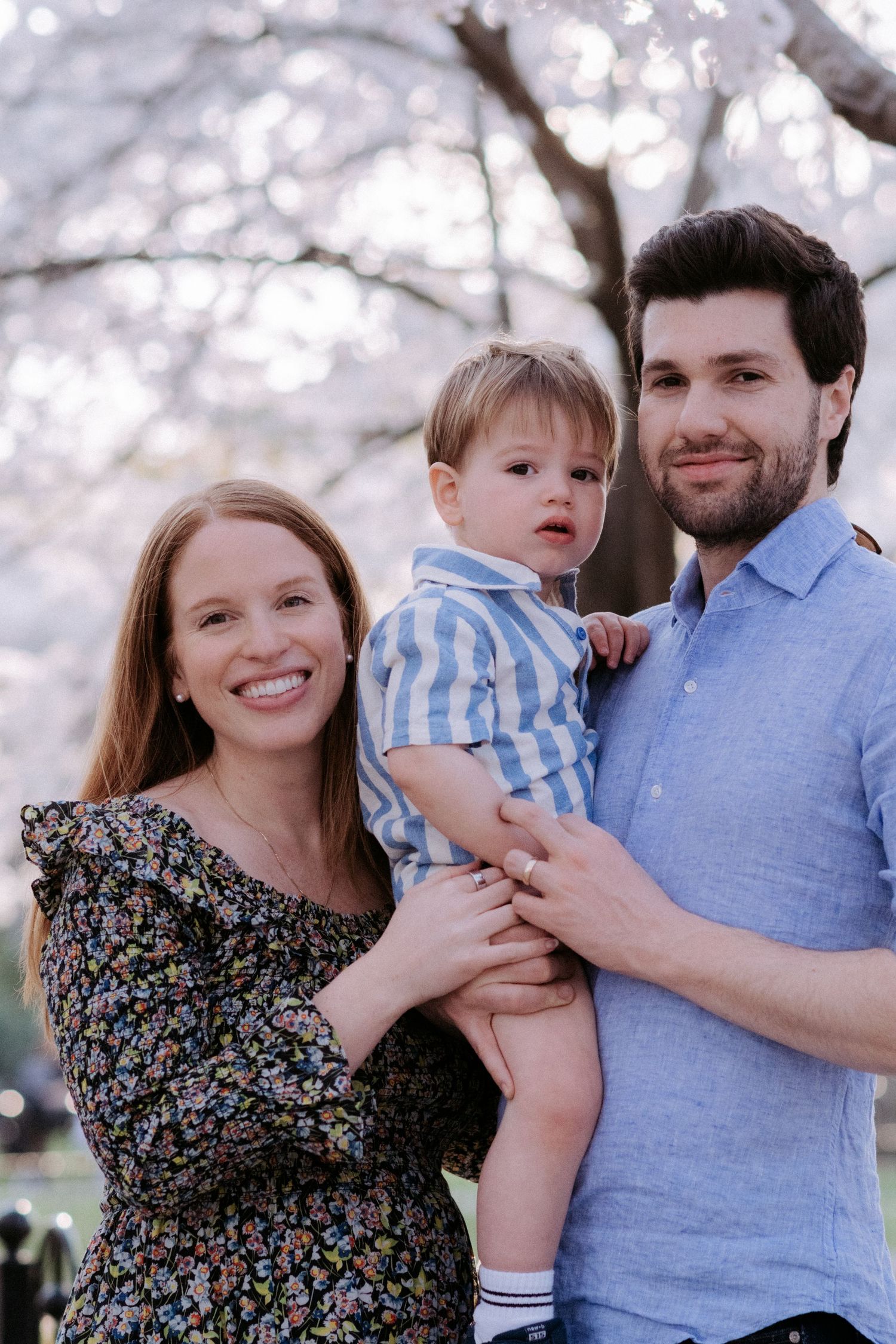 Happy young family with toddler son posing outdoors under blooming cherry blossom trees in spring.