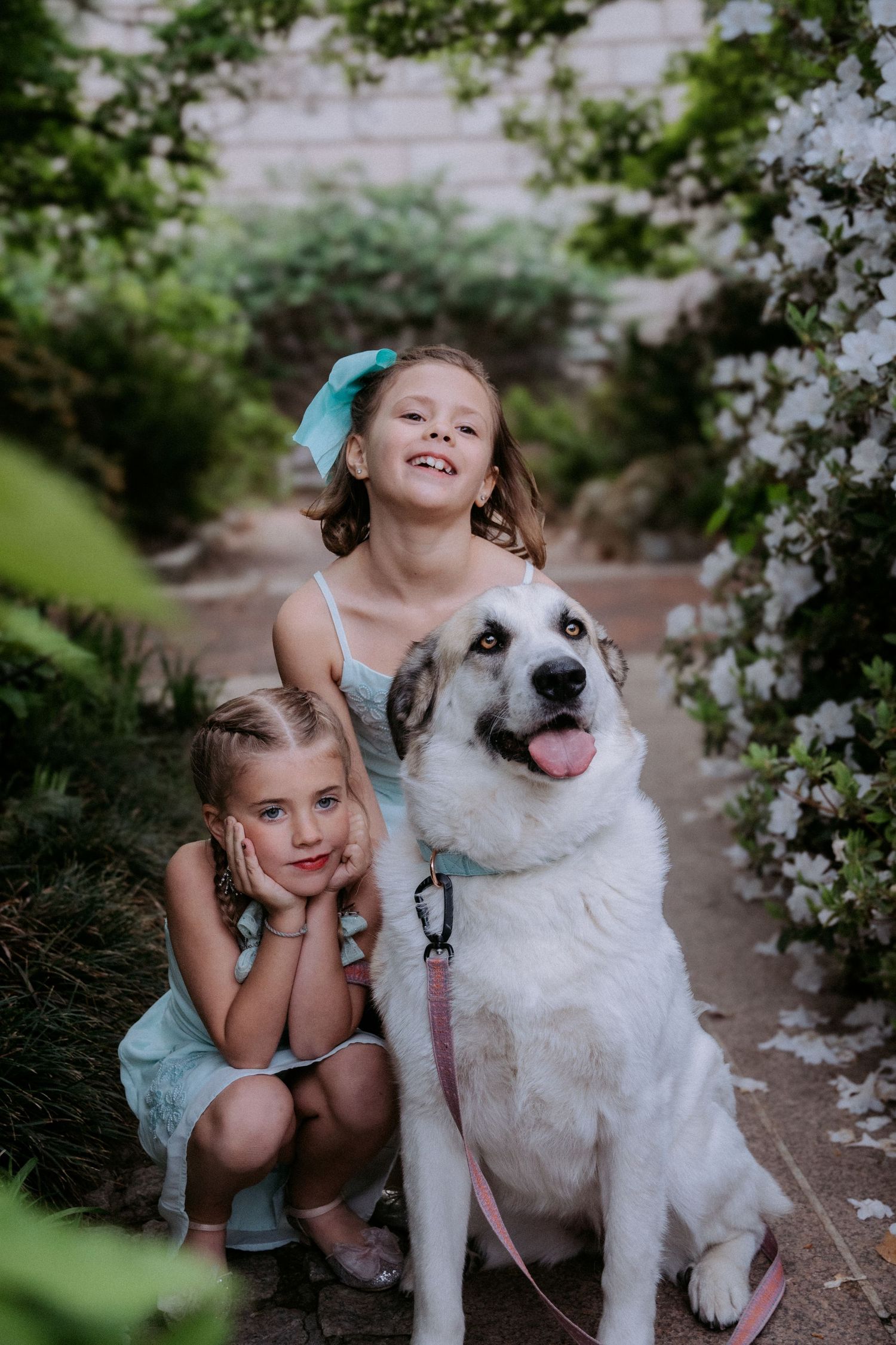 Two young girls in blue dresses pose with a large white dog on a pink leash among flowering bushes.