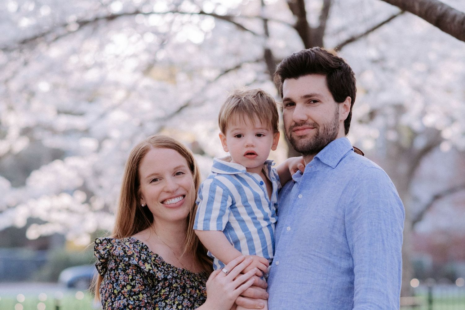 Young family with toddler posing in front of blooming cherry blossom trees in spring.
