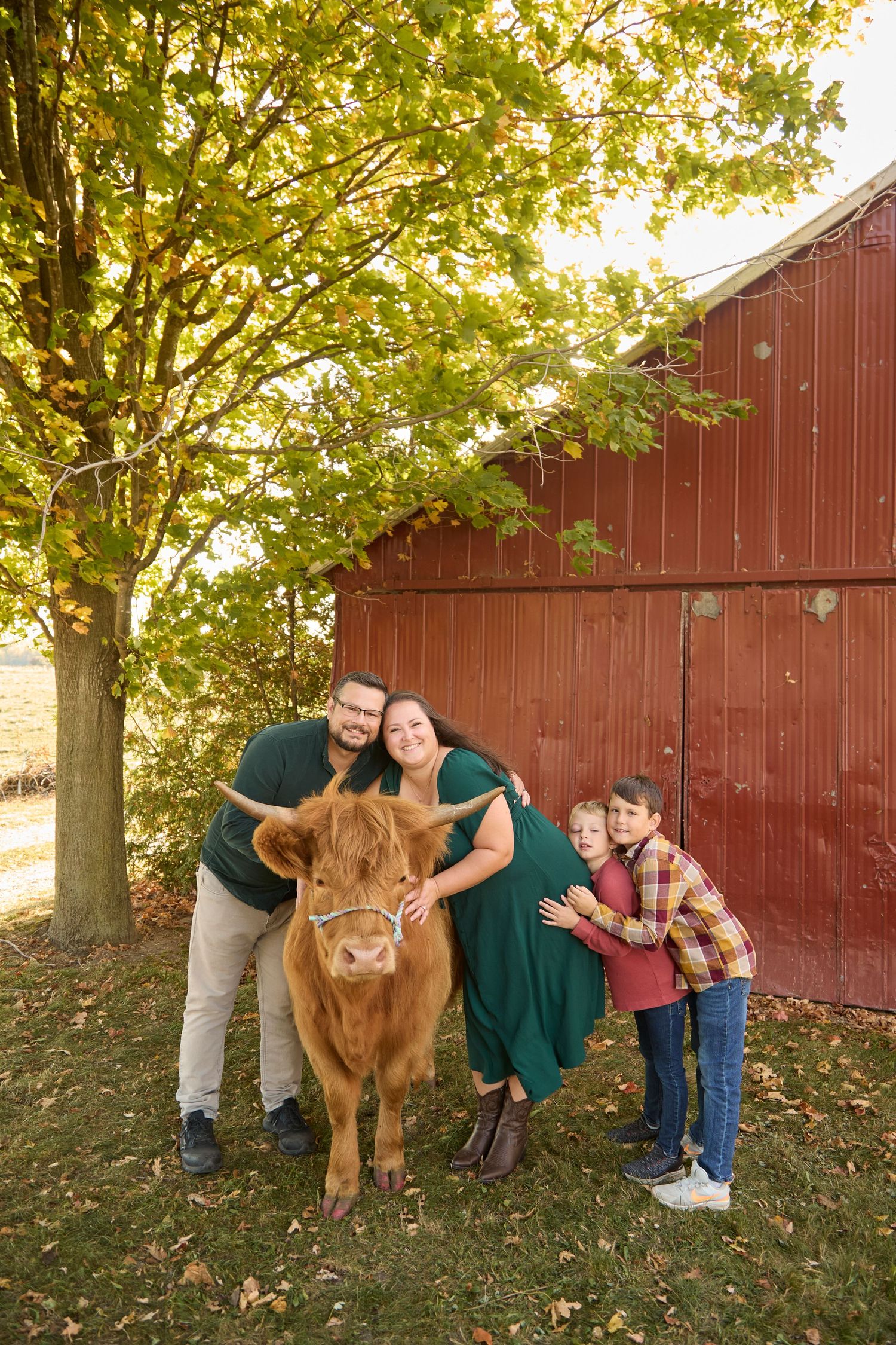 Family photo with highland cow in fall setting with a red barn.