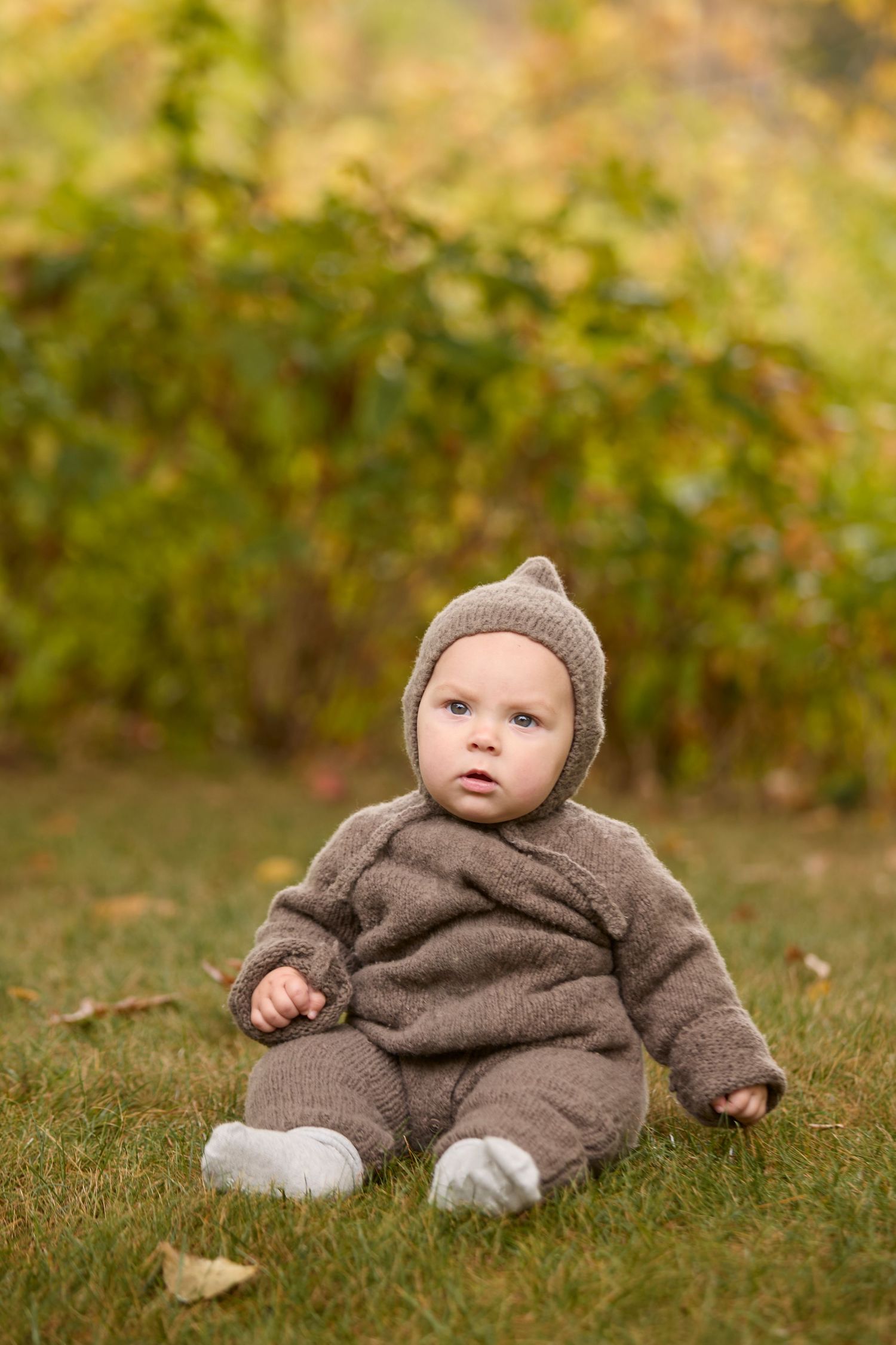 Baby photo on grass in fall setting.