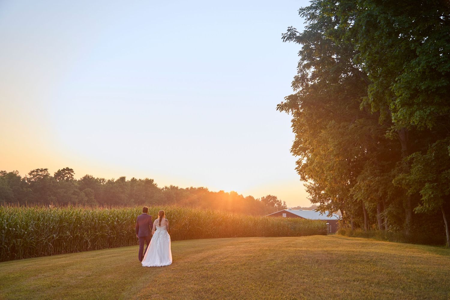 Bride and groom walking through field at sunset.