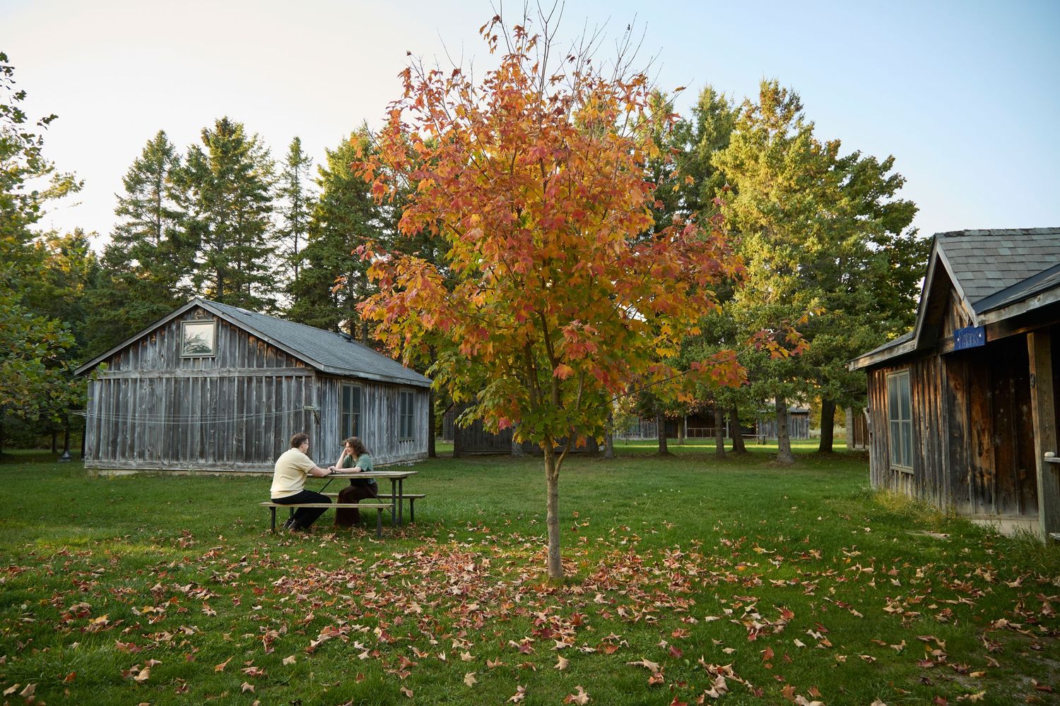 Couple in fall setting.