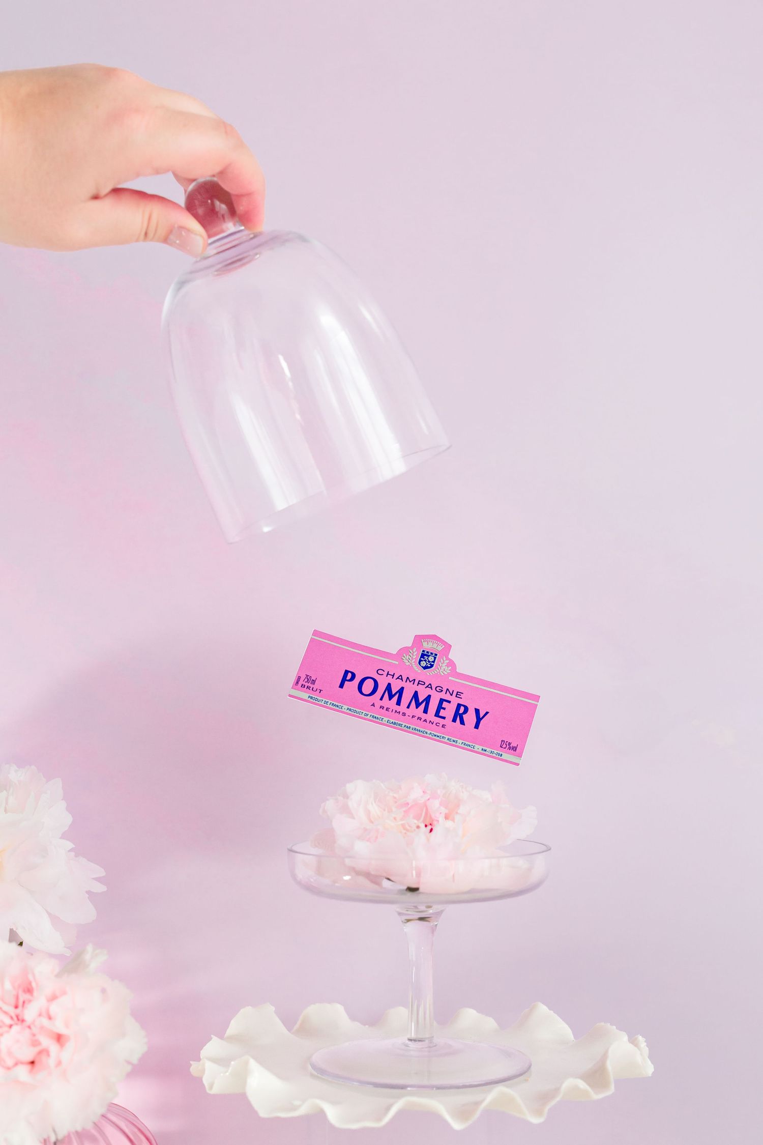 photographe-studio-shooting-pommery-cloche-en-verre-pink-flowers-provence-pierrefeu-du-var-france-var