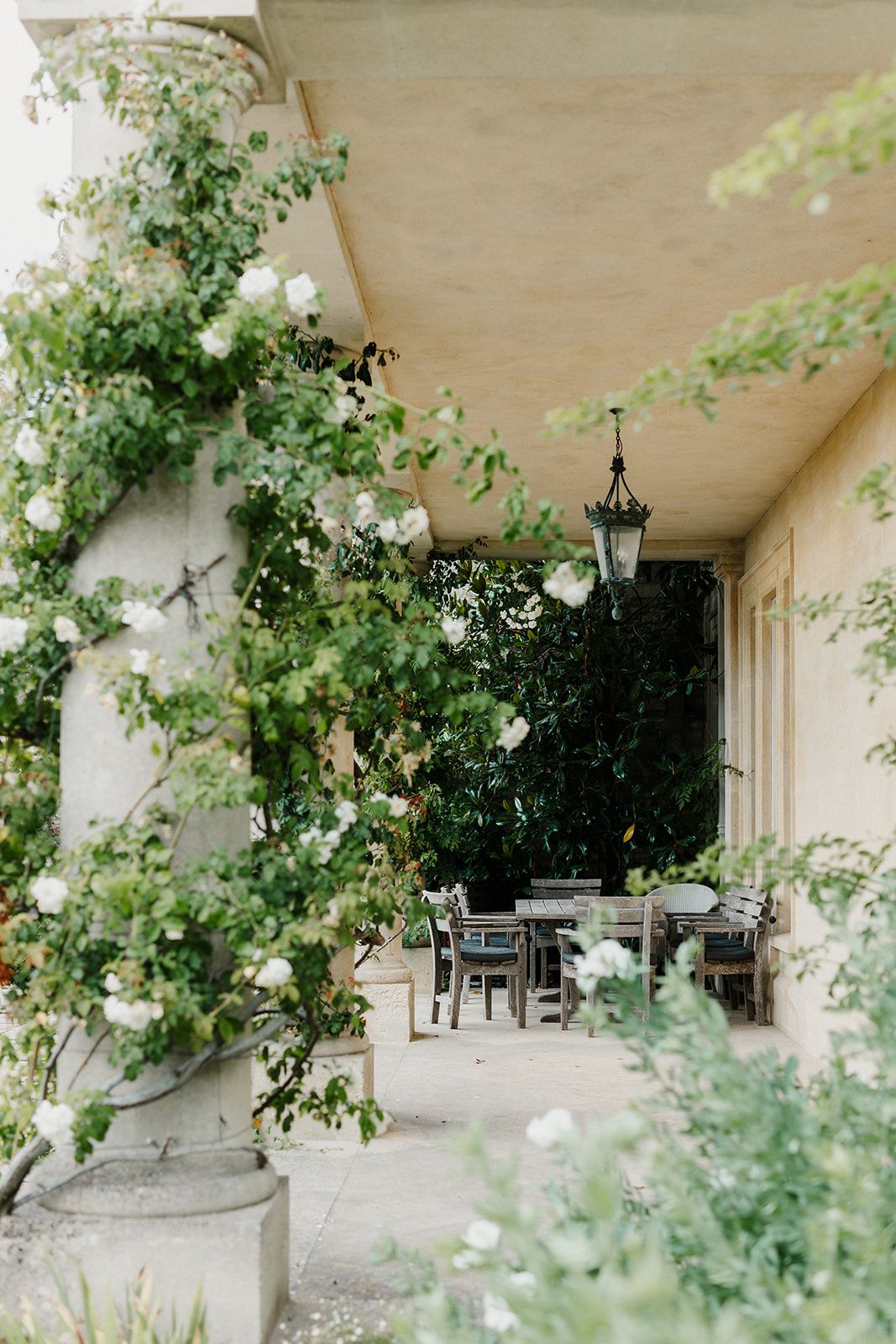 Elegant outdoor patio with climbing white roses, hanging lantern, and dining furniture against a cream stucco wall.