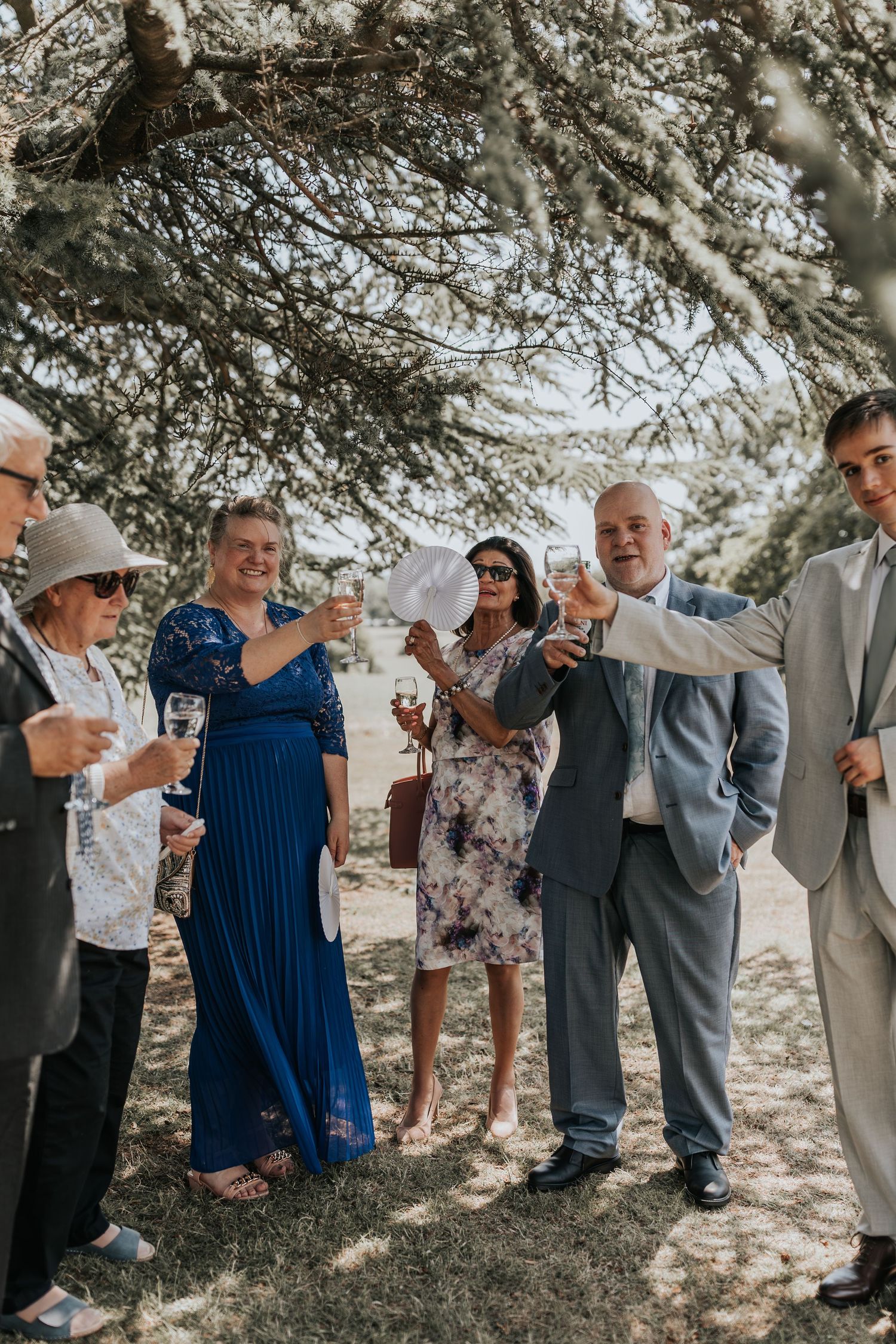 Wedding guests raising champagne glasses in a toast outdoors under a large tree on a sunny day.
