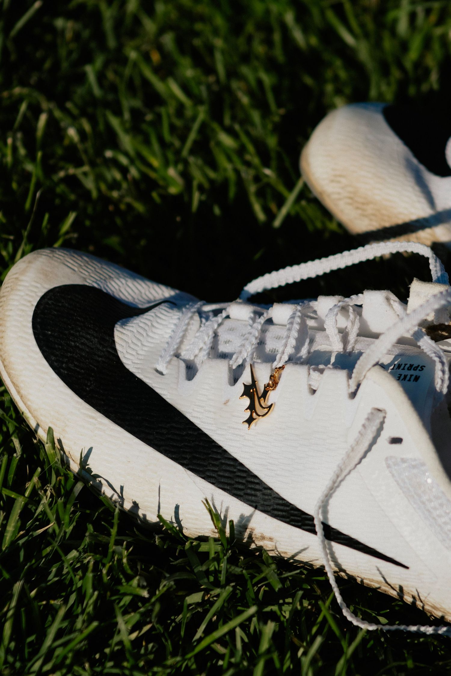 High school track and field photography by Legus Visuals serving South Bend, New Carlisle, LaPorte, and the Michiana area.