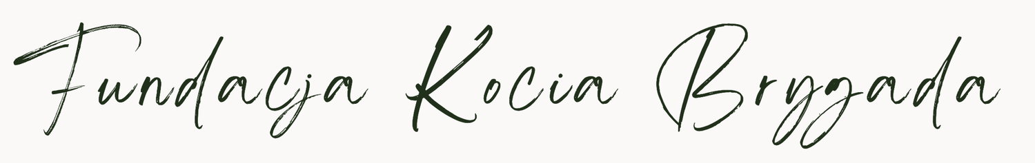 Fotografia kocia