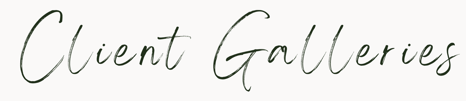 galeria