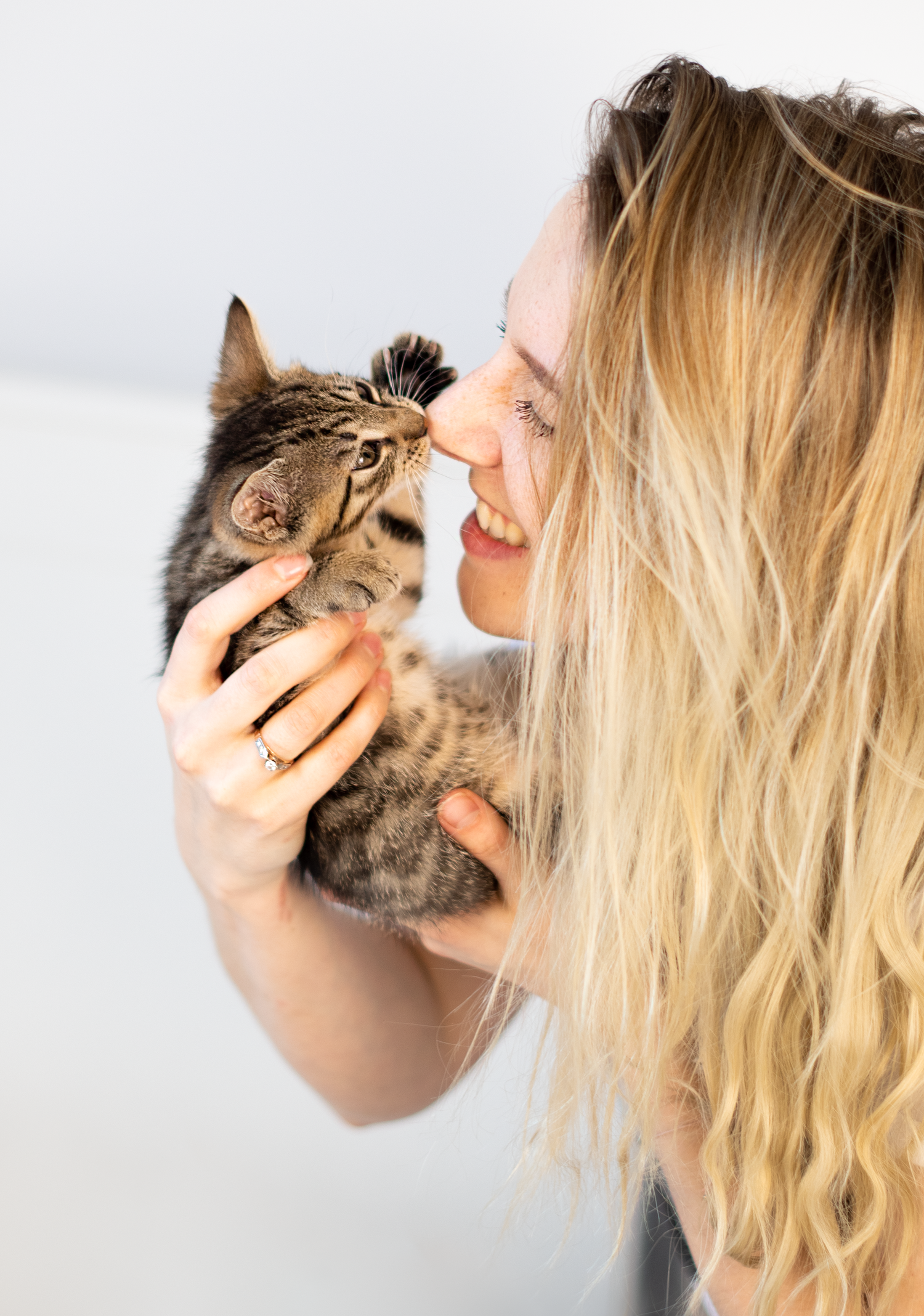 kocia fotografia