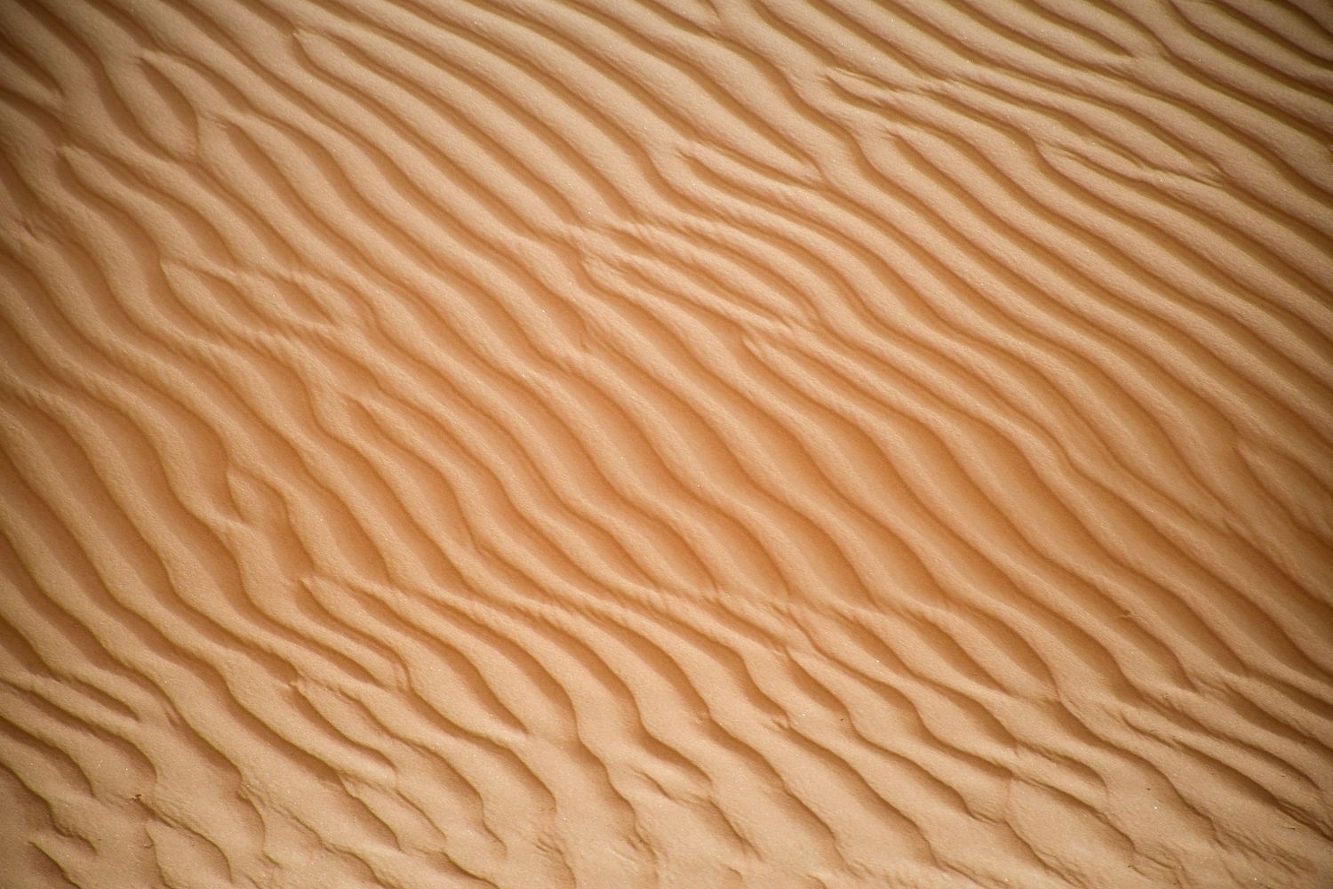 Fotografia Oman