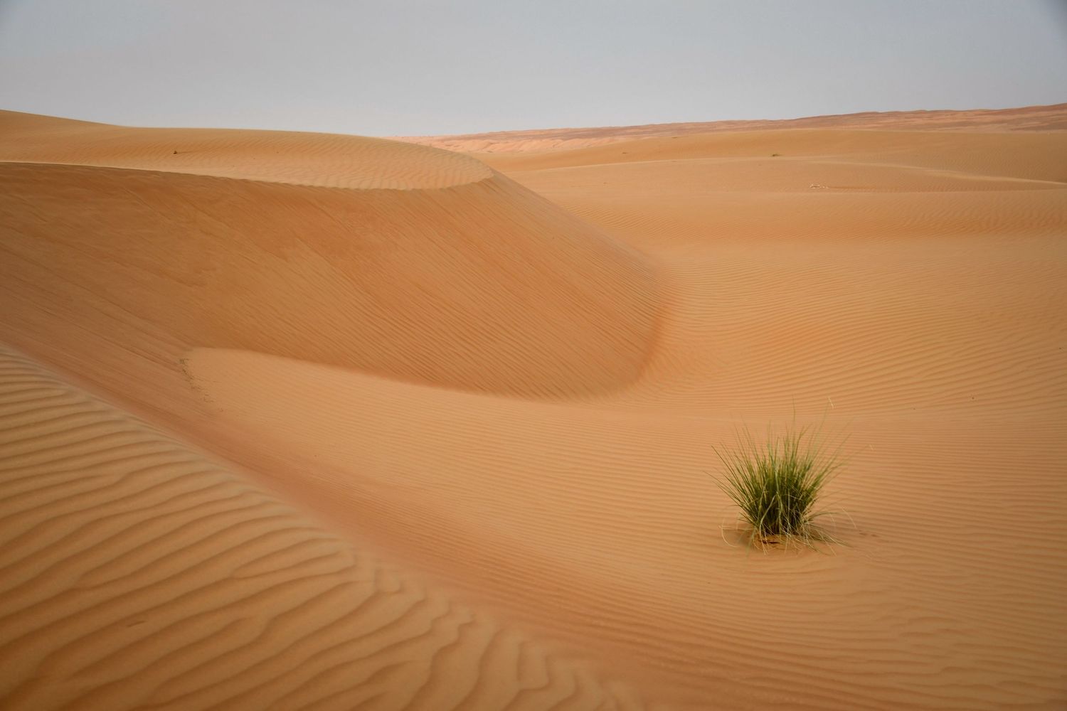 Fotografia Oman