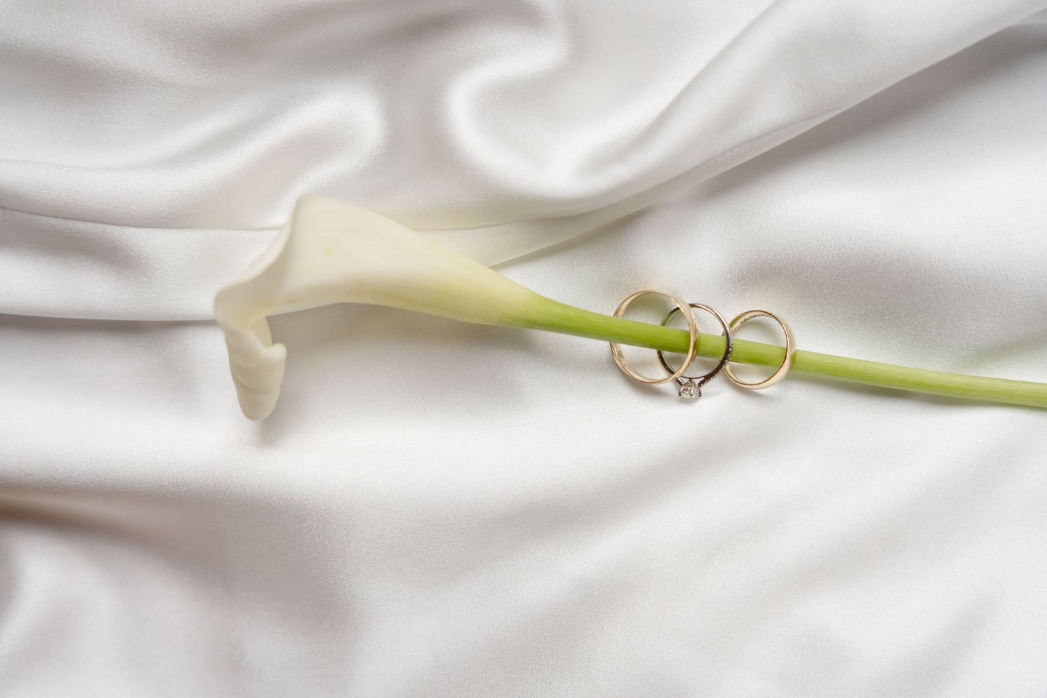 Two gold wedding rings resting on a white calla lily stem against soft white satin fabric.