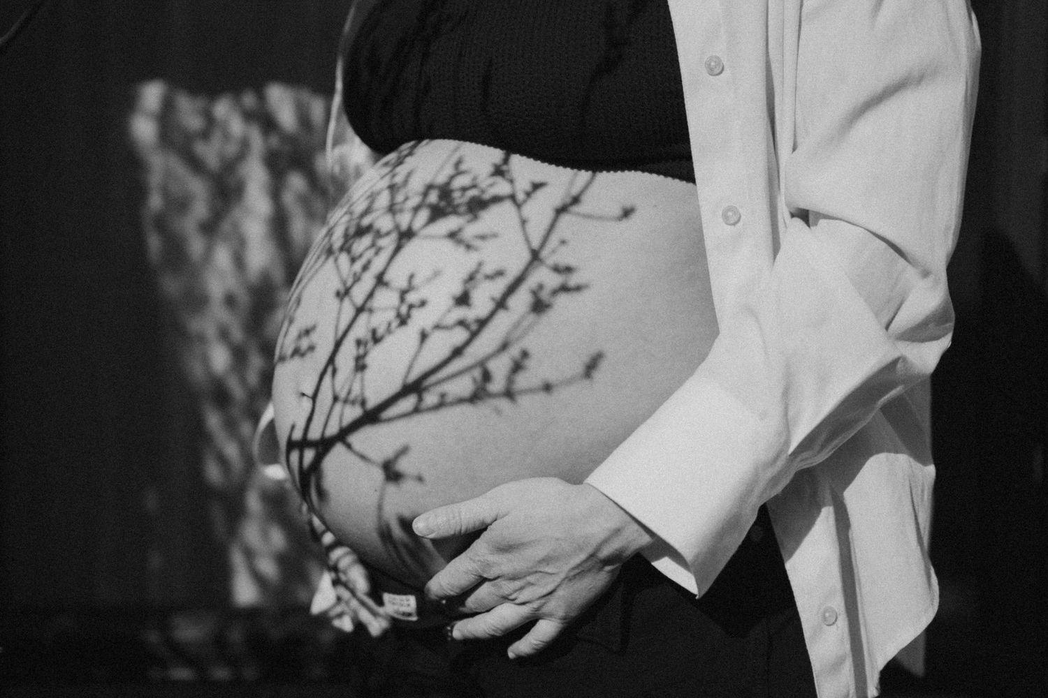 Black and white maternity photo of pregnant woman's bare belly with partner's hands and tree branch shadows.