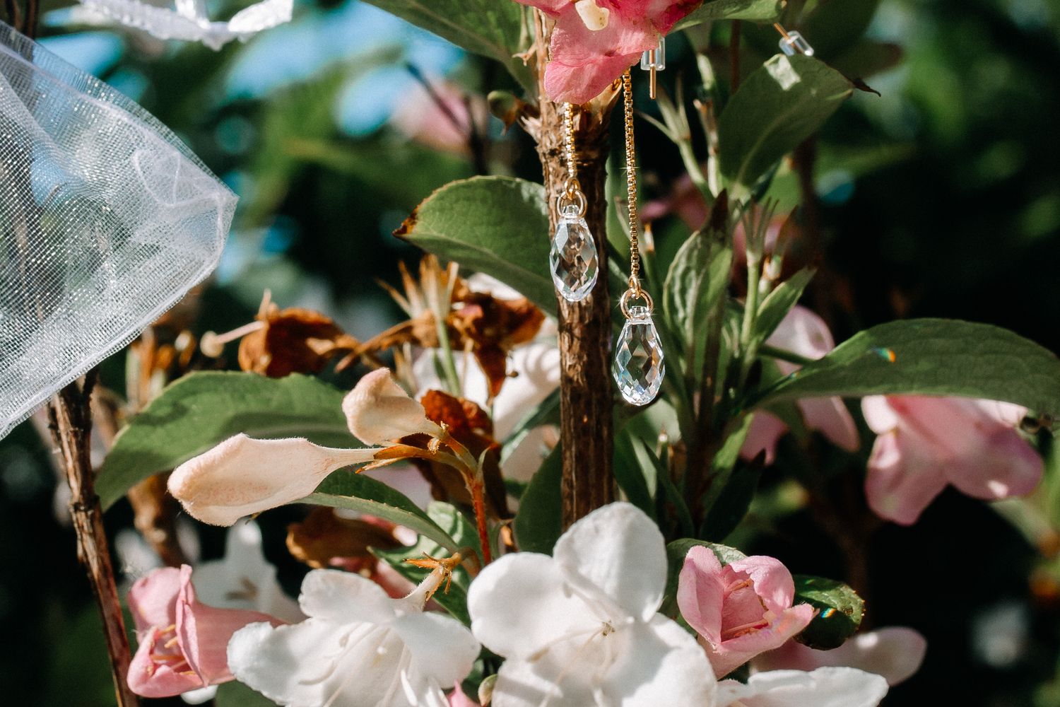 Wedding photography Paulie Delic