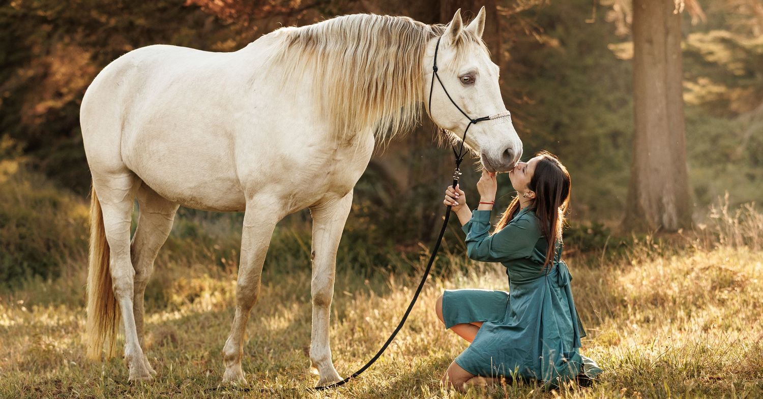 Woman in teal dress kneeling beside a white horse in a sunlit forest meadow, gently holding its bridle.