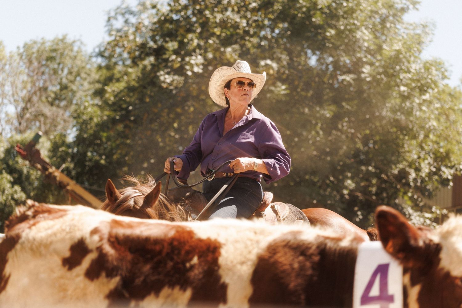 A cowgirl in a white hat rides a horse while herding brown and white cattle outdoors.