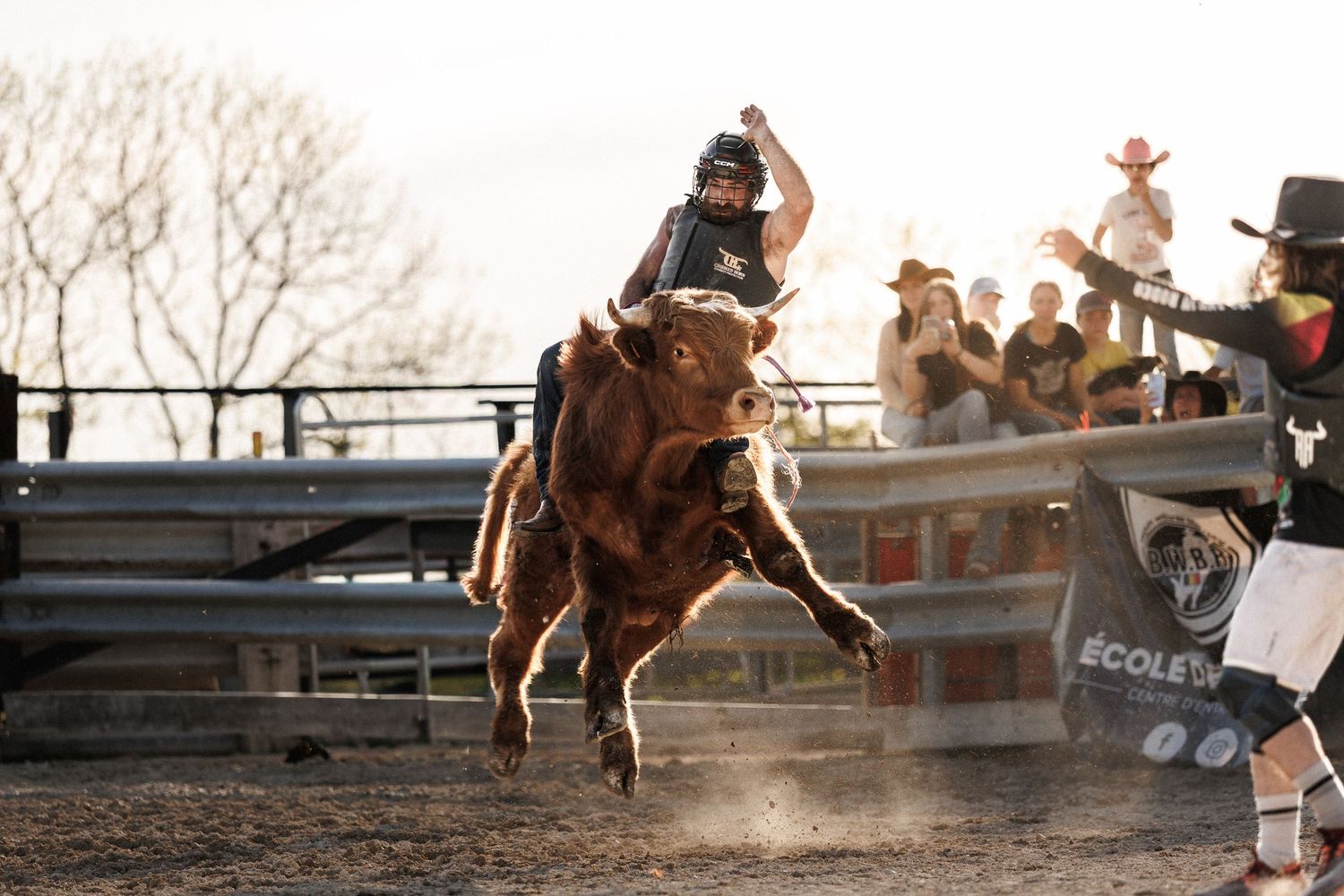 A bull rider competes at a rodeo event, gripping a bucking brown bull while spectators watch from the stands.