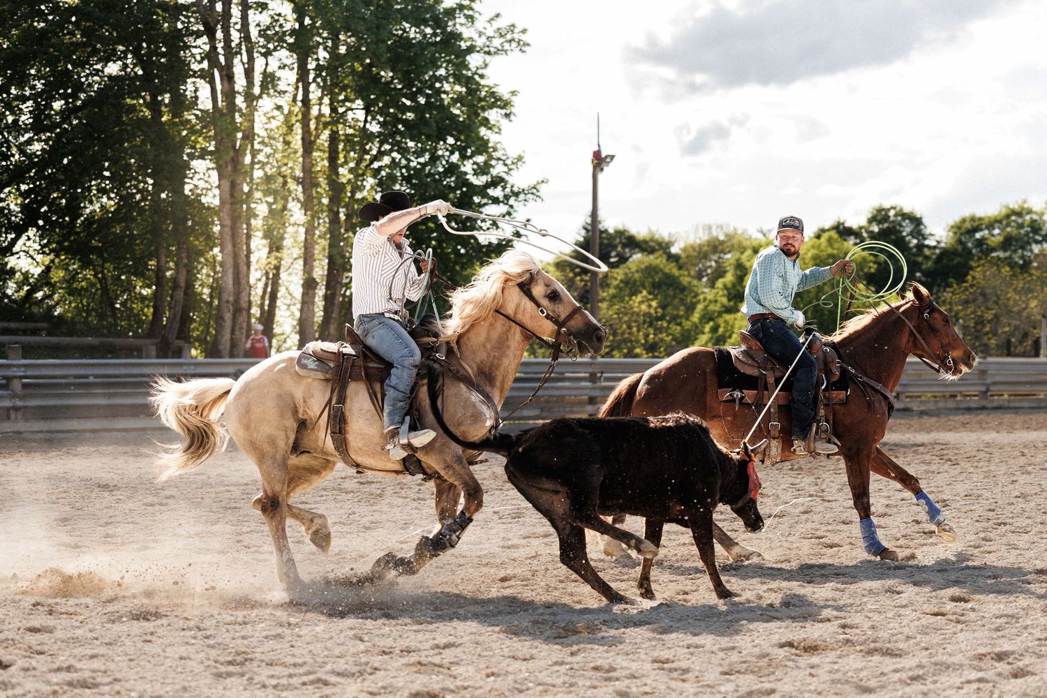 Two cowboys on horseback roping a calf at a dusty outdoor rodeo event.