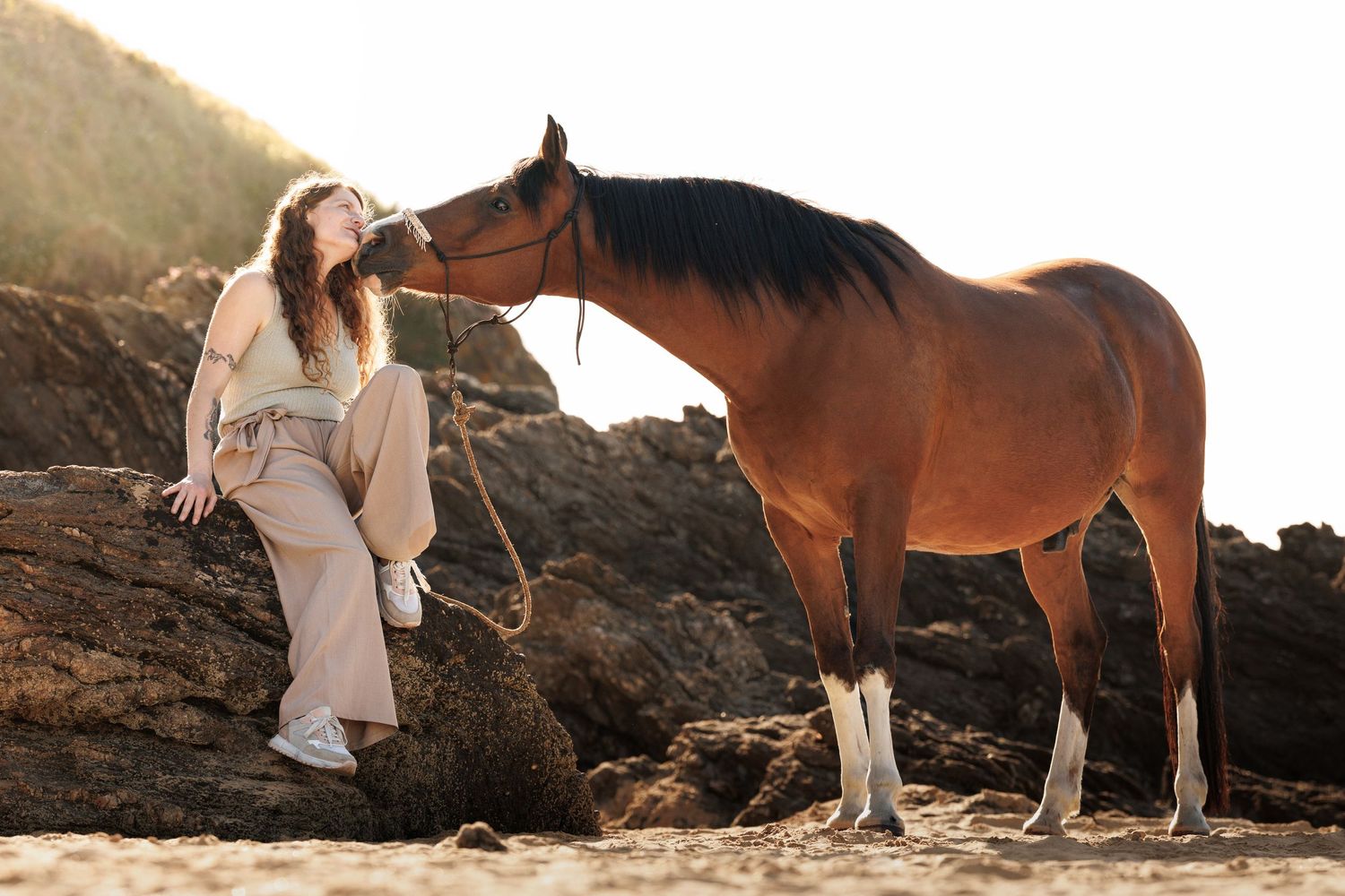 Woman sitting on rocks at beach nuzzling a bay horse with white stockings in golden sunset light.