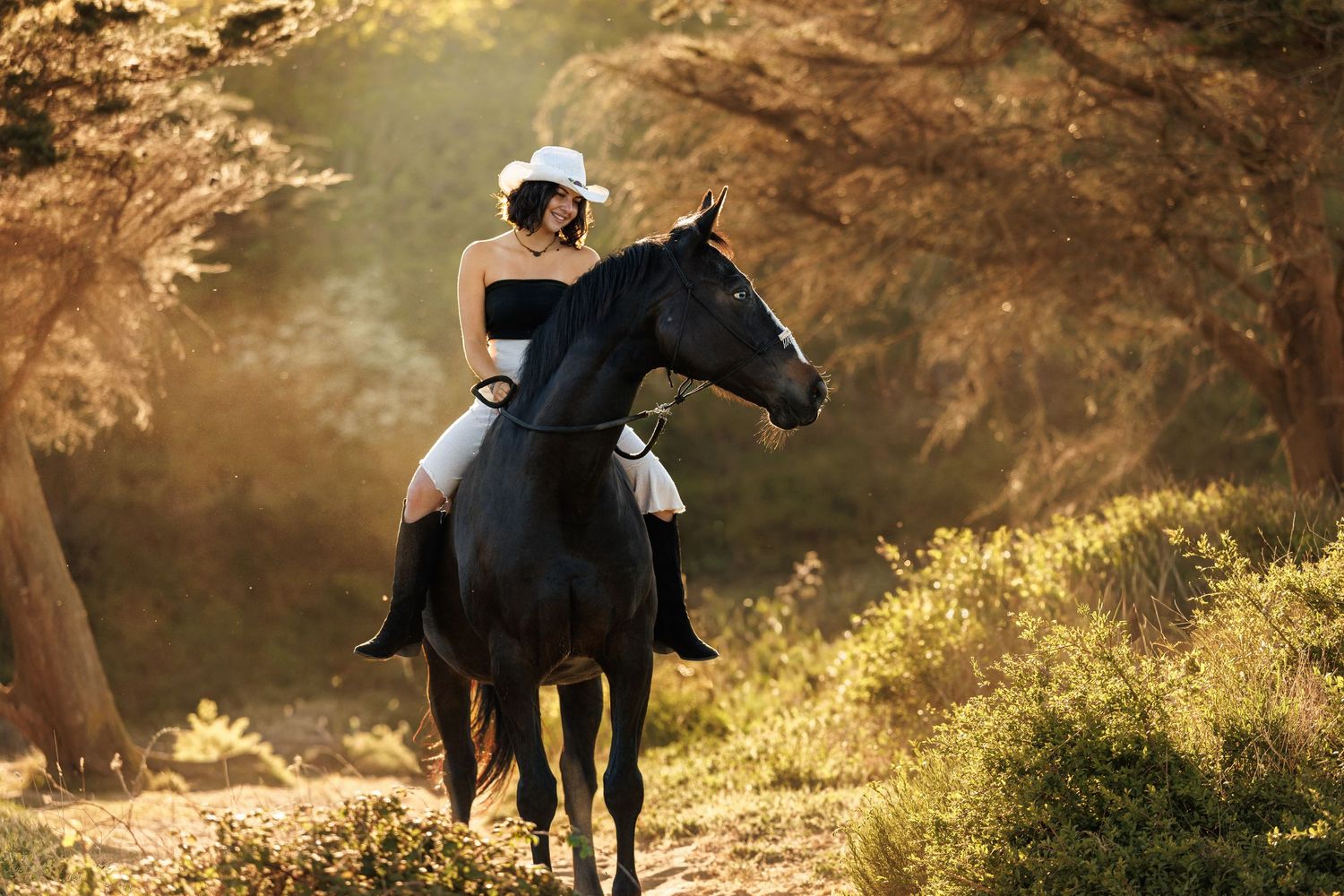 Bride in white dress and cowboy hat riding a black horse through sun-dappled trees in a romantic outdoor setting.