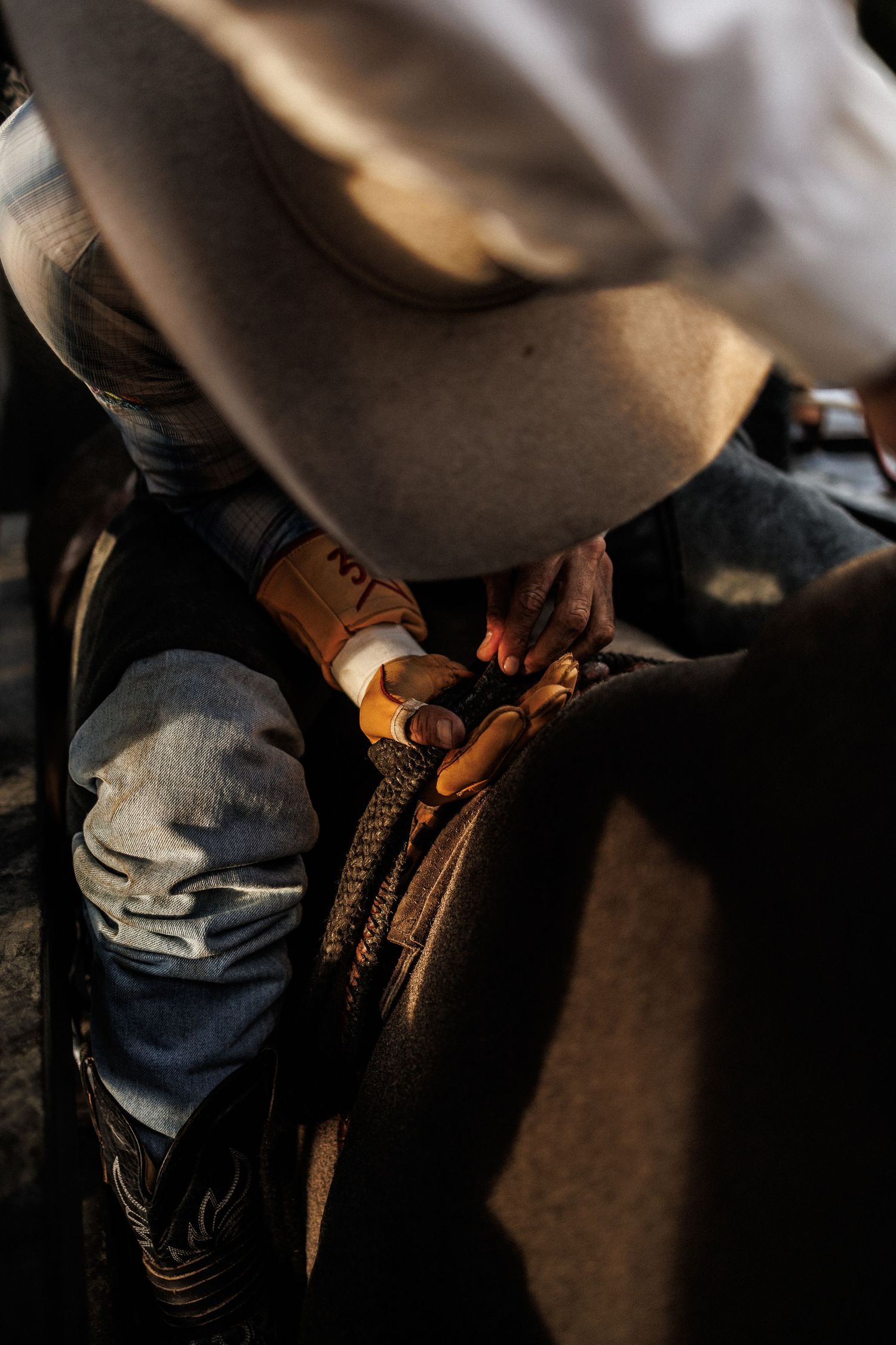 A cowboy in a white hat and jeans grips leather reins on a horse saddle in warm dramatic lighting.