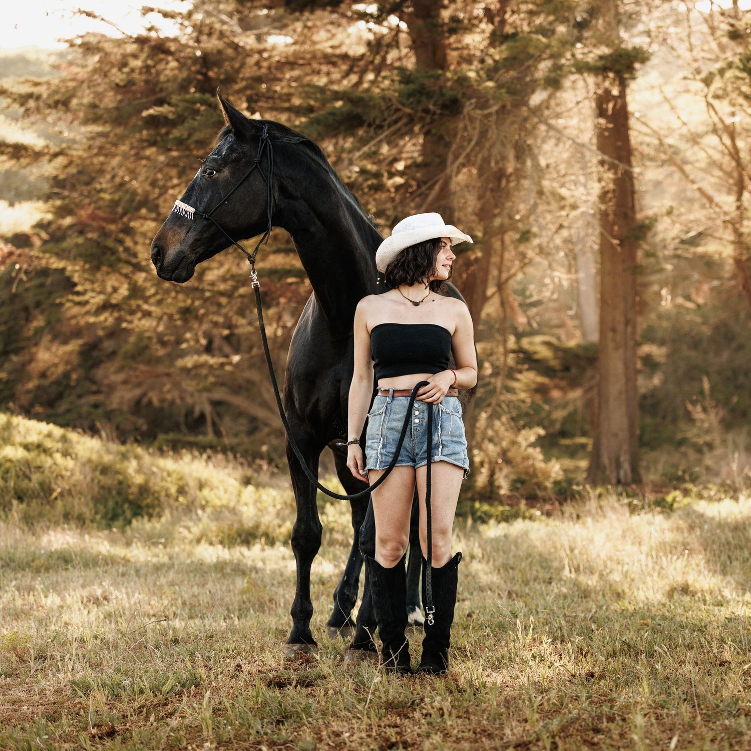 Young woman in cowboy hat, black tube top, denim shorts, and boots standing beside a black horse in a sunlit forest meadow.